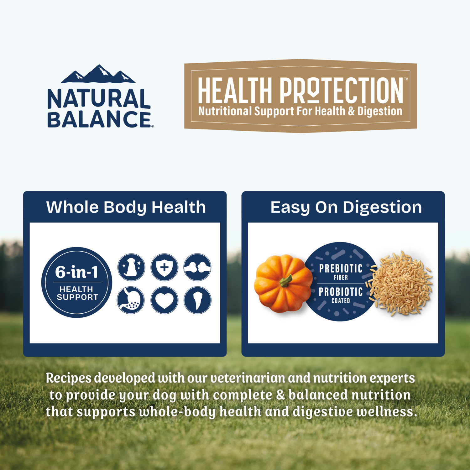 Natural Balance Health Protection Small Breed Dry Dog Food, Chicken, Brown Rice & Pumpkin Recipe, 4-Lbs.