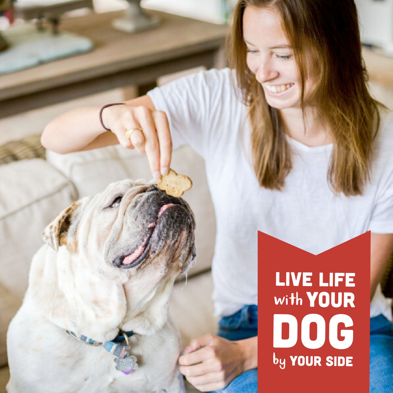 Wag More Bark Less Cloud Star Grain-Free Oven Baked With Pumpkin Dog Treat, 14-Oz