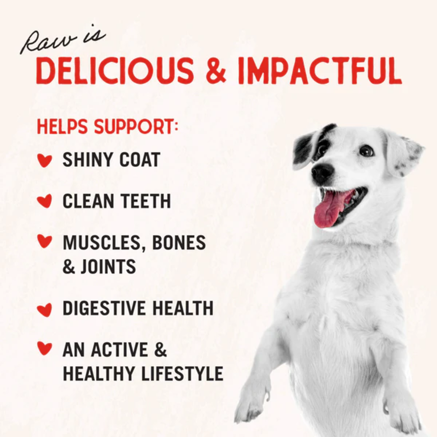 Stella & Chewy's Chicken Heart&nbsp;Freeze-Dried Raw Dog Treats, 11.5-Oz. Bag