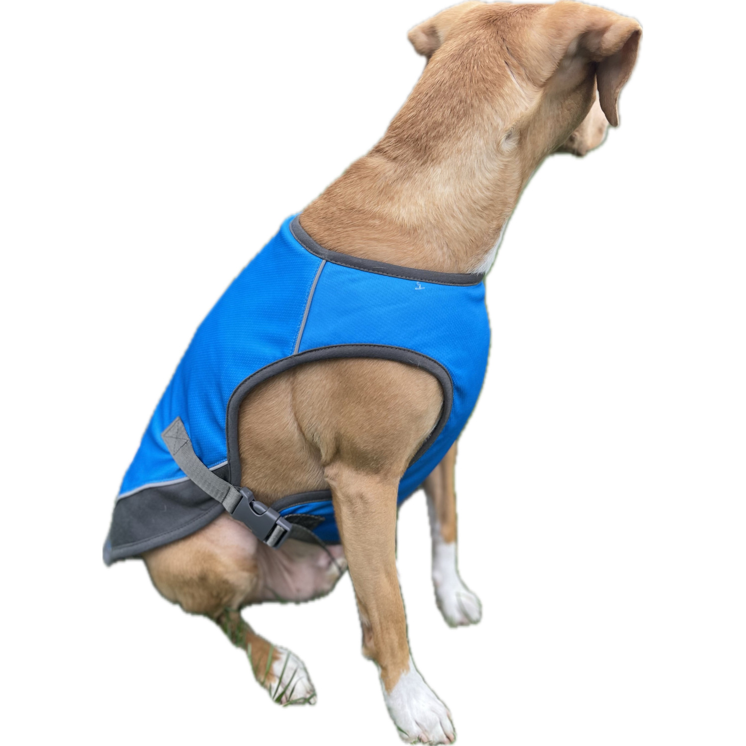 Unique Petz Dog Cooling Vest - Blue