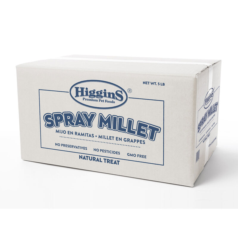 Higgins Spray Millet Bird Treat