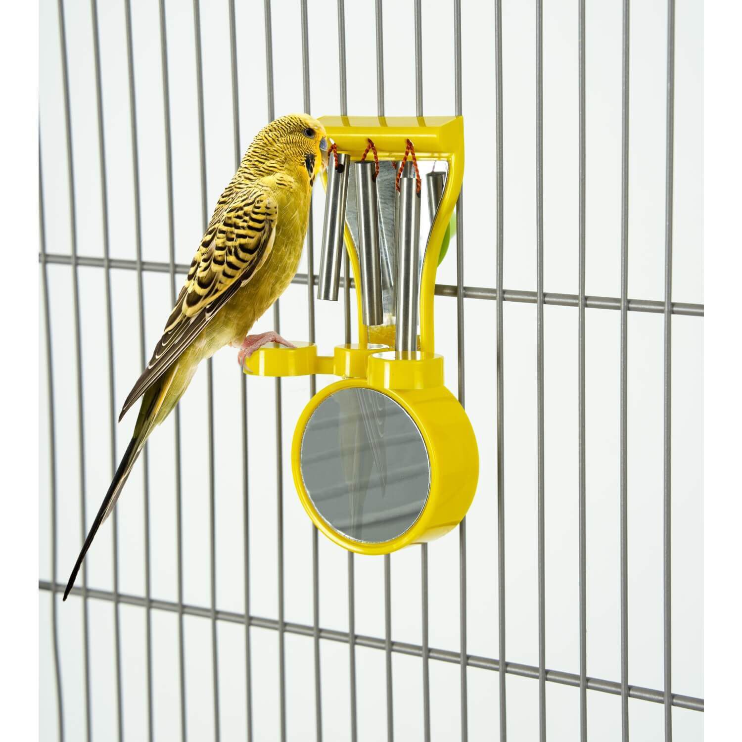 Stunning Exotic Bird Cages With Chimes image