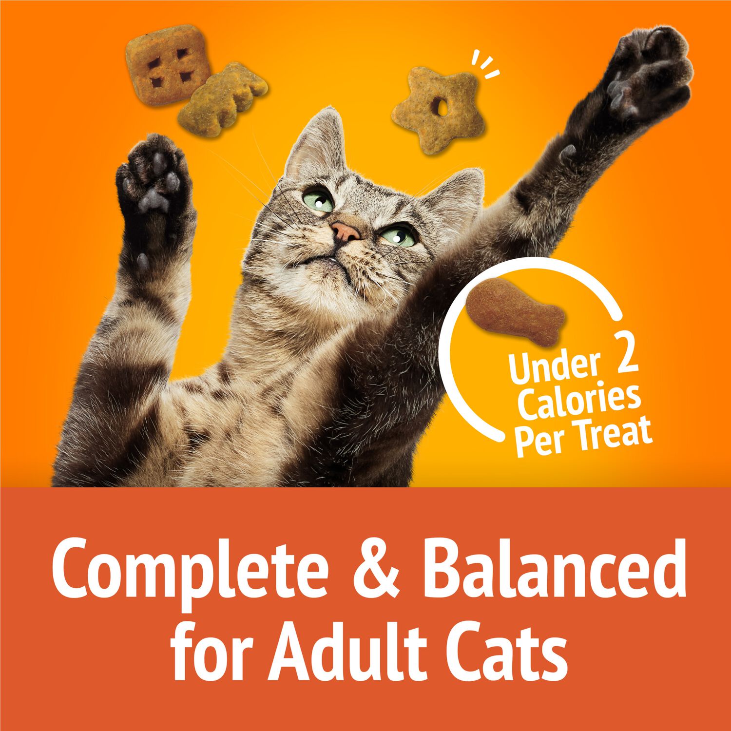 Purina Friskies Party Mix Original Crunch Cat Treats, Chicken With Turkey & Liver Flavor, 30-Oz