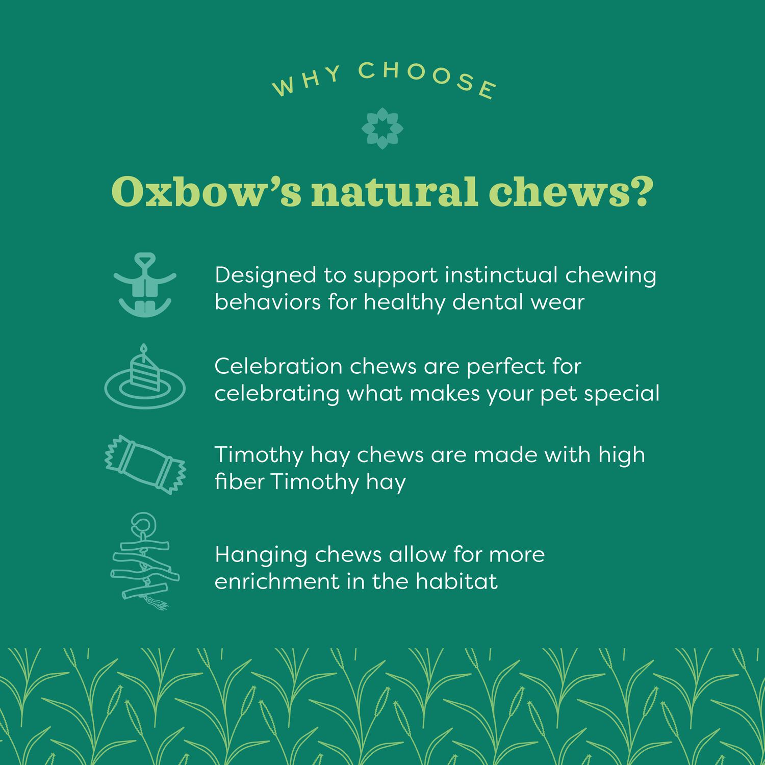 Oxbow Timothy Club Timothy Twists Small Animal Chew Toy