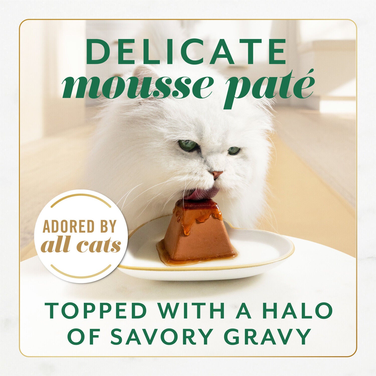 Fancy Feast Gems Pate Cat Food Mousse With Chicken And A Halo Of Savory Gravy Wet Cat Food - 4-Oz - Pack Of 8