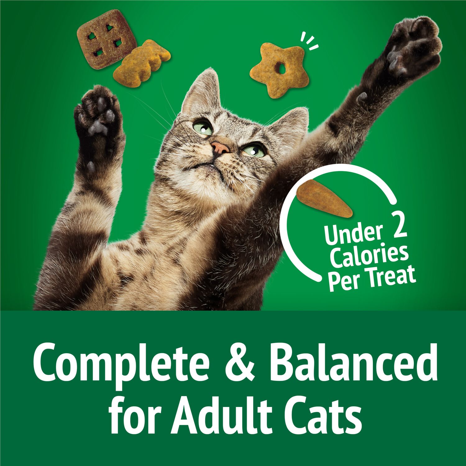 Purina Friskies Party Mix Picnic Crunch Flavor Crunchy Cat Treats, 6-Oz.