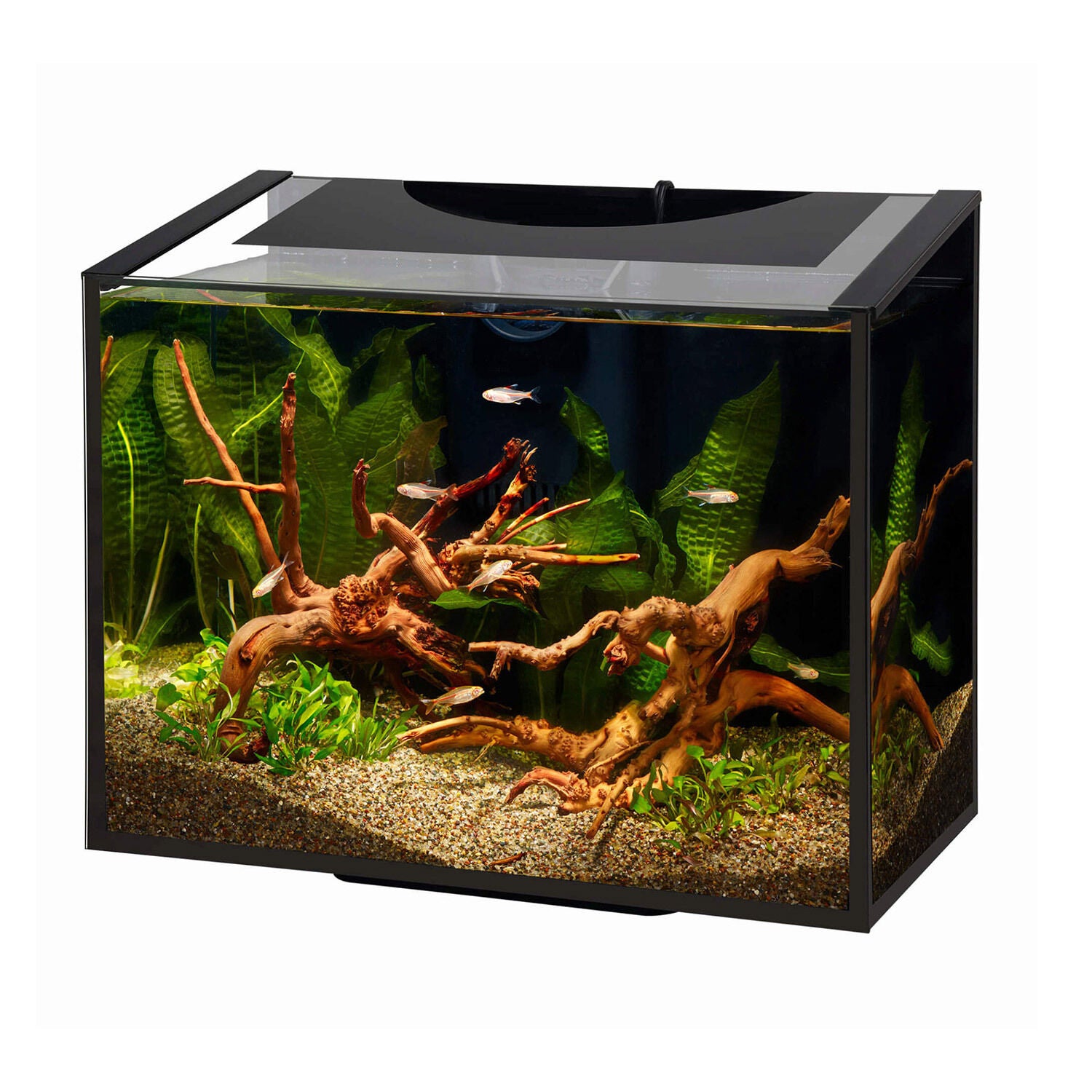 
        Ascent Frameless Led Kit | 80.99 USD | Pet Supermarket-image
