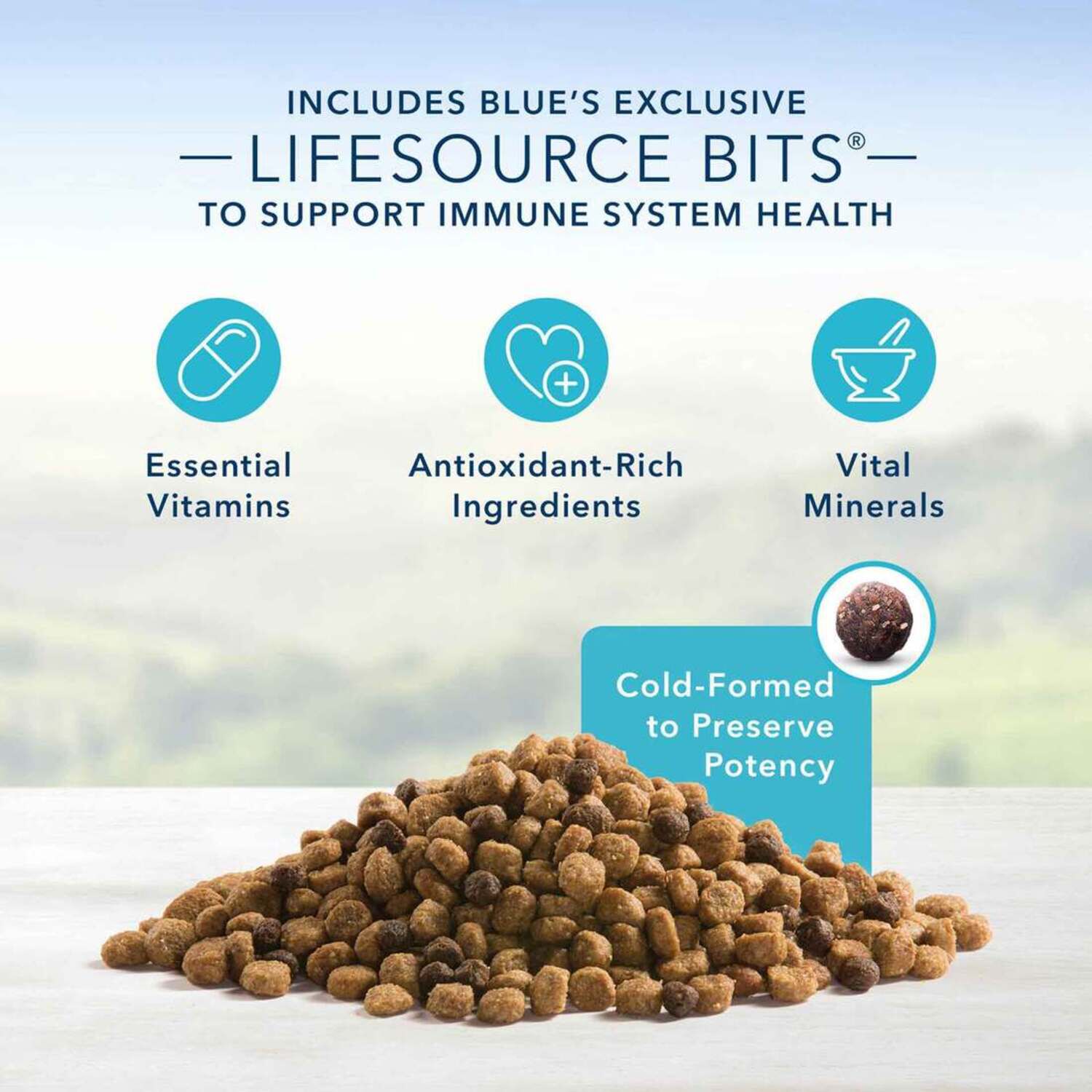 Blue Buffalo Life Protection Formula Natural Adult Small Bite Dry Dog Food, Chicken And Brown Rice, 30-Lb