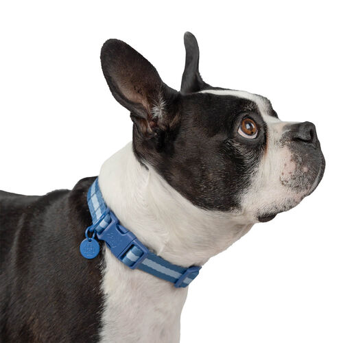 Gap Striped Dog Collar, Blue