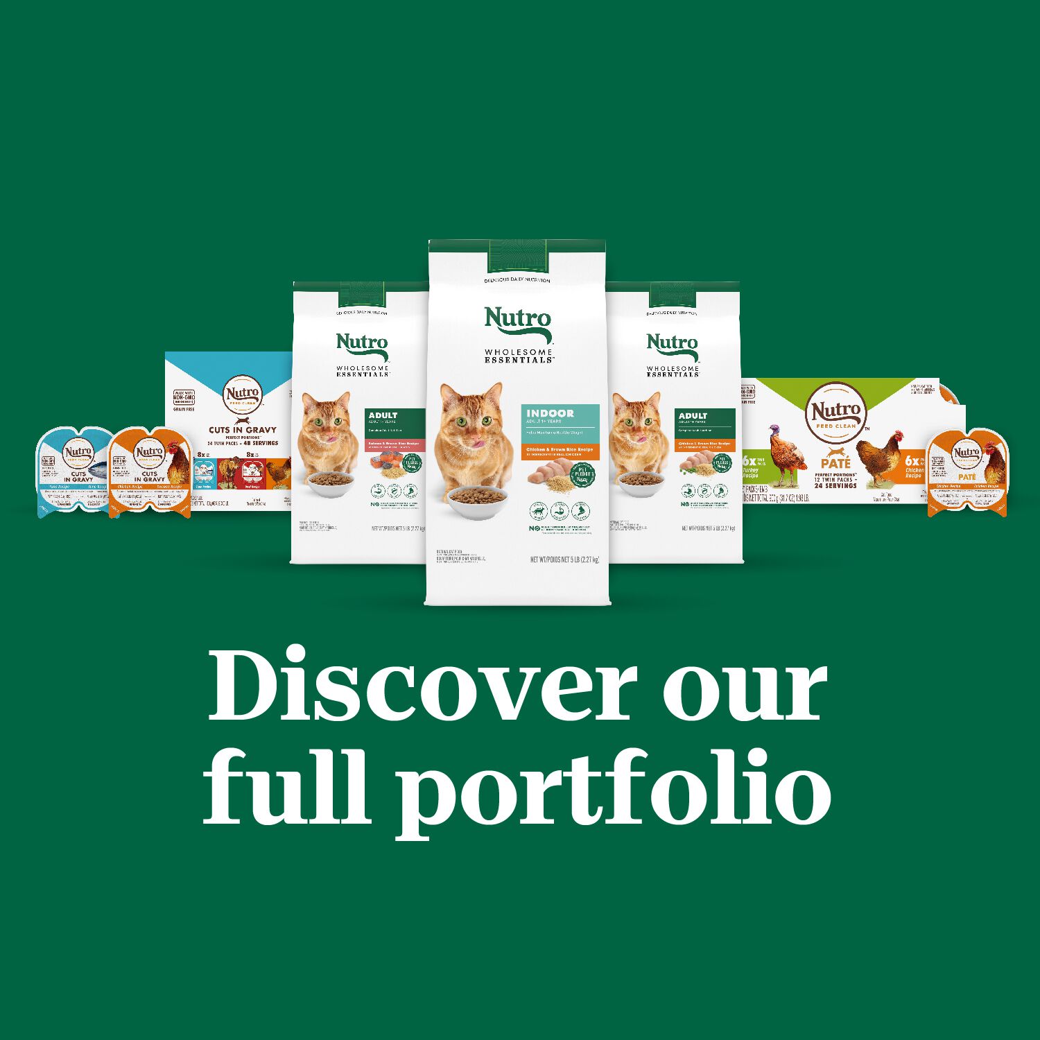 Nutro Wholesome Essentials Chicken & Brown Rice Recipe Indoor Dry Cat Food, 14-Lb Bag