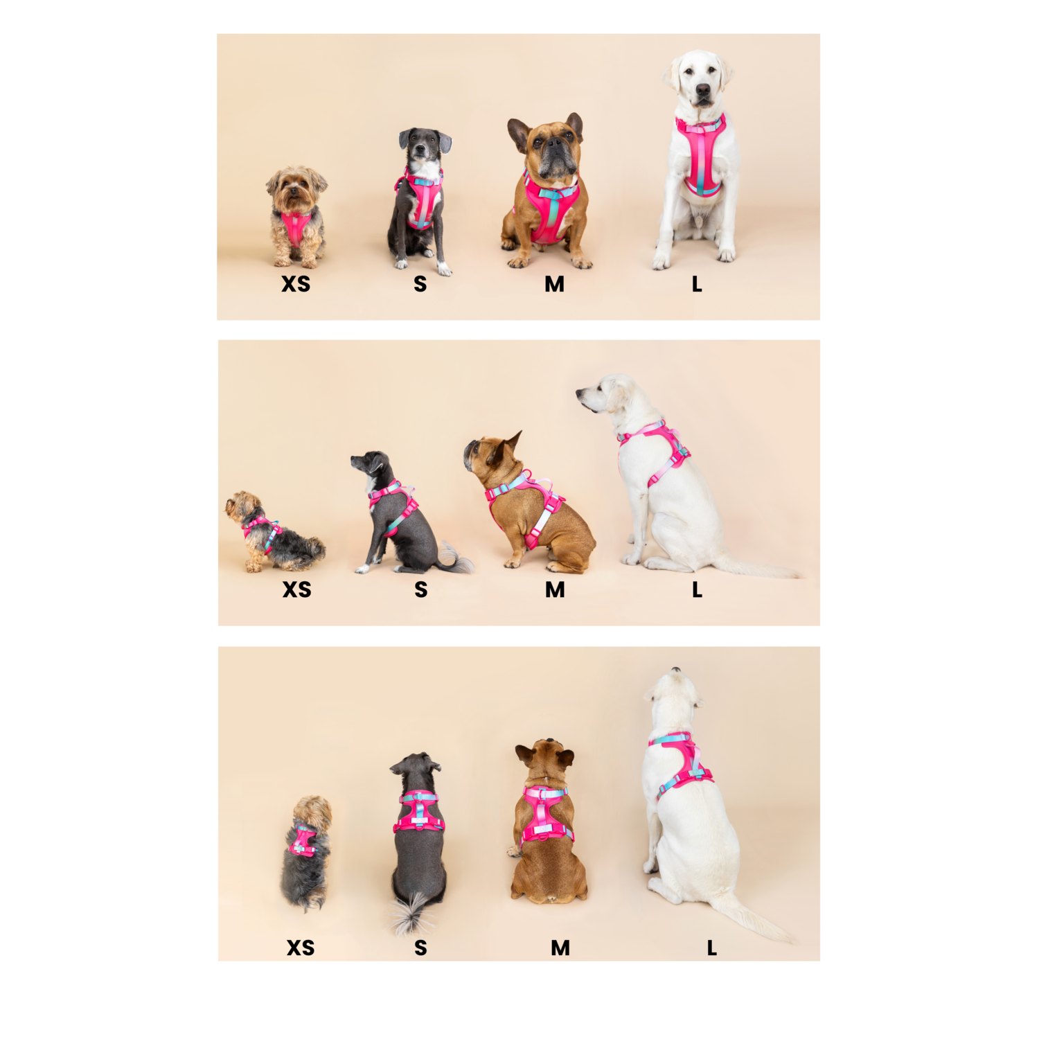 Pink Papyrus Stasia Dual Clip Versitle Buckle Adjustable Dog Harness, Pink, Large