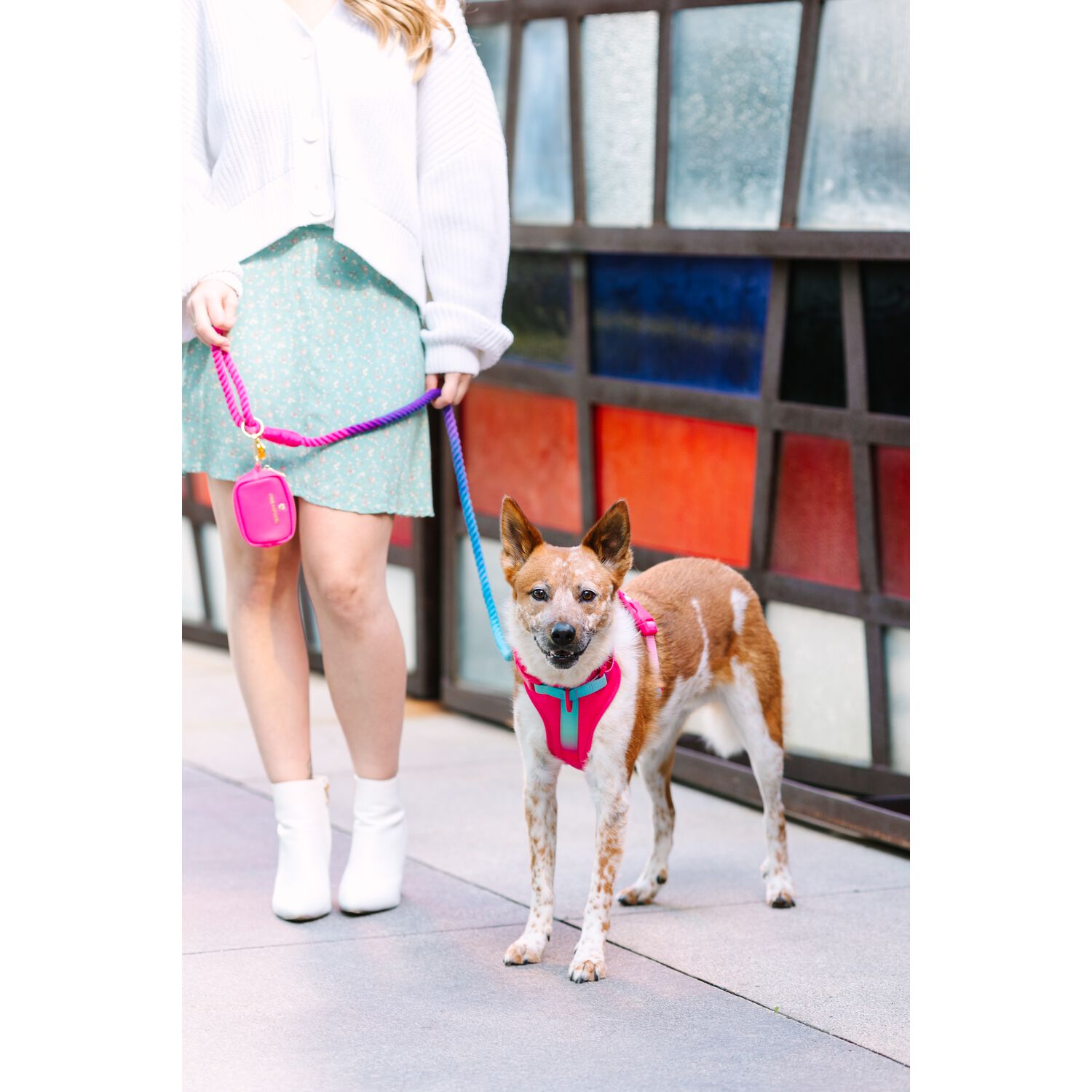 Pink Papyrus Stasia Dual Clip Versitle Buckle Adjustable Dog Harness, Pink, Large