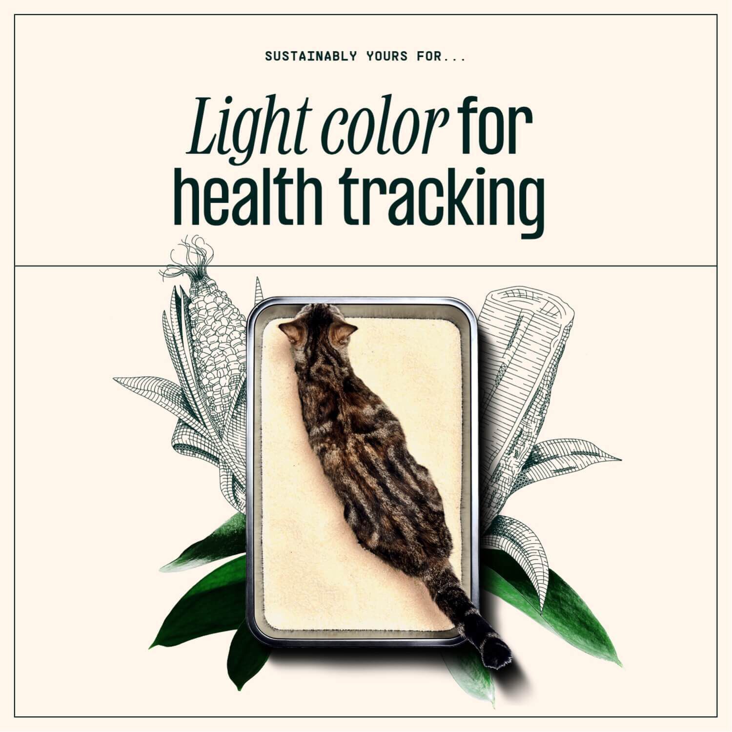 Sustainably Yours Natural Cat Litter MultiCat Large Grains 26lb Pet Supermarket