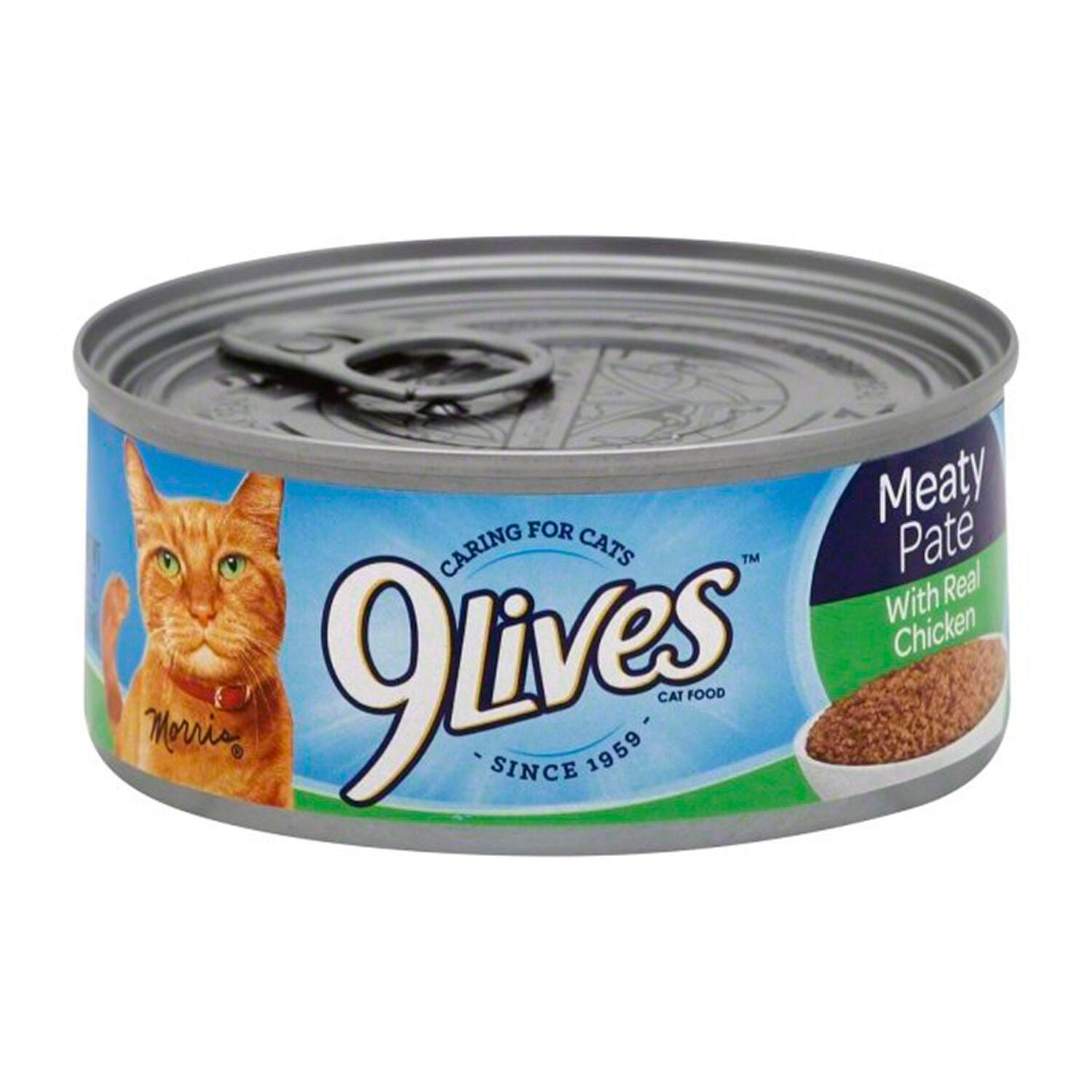 9 lives hotsell wet cat food
