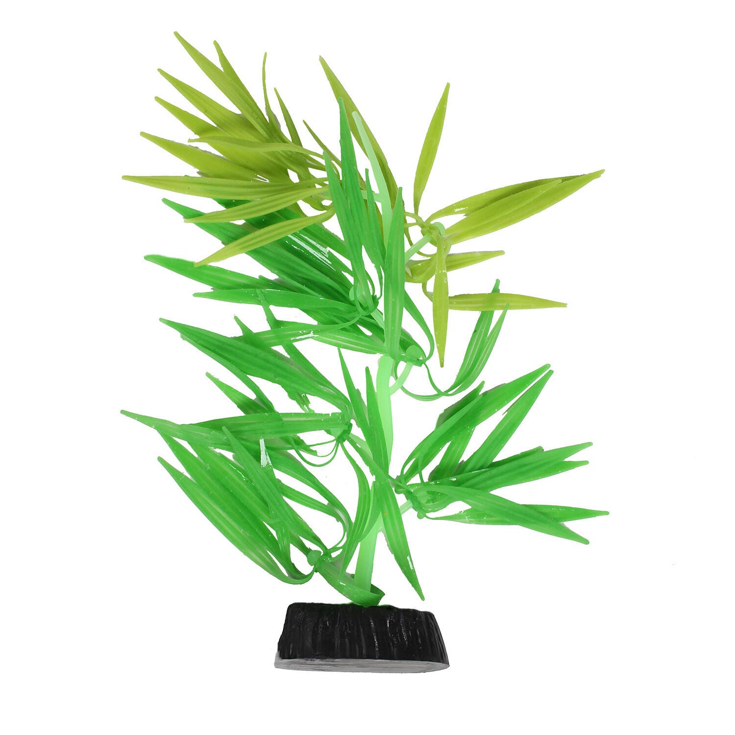 Flow Plant Amazon Plant Medium/Green 1ea Pet Supermarket