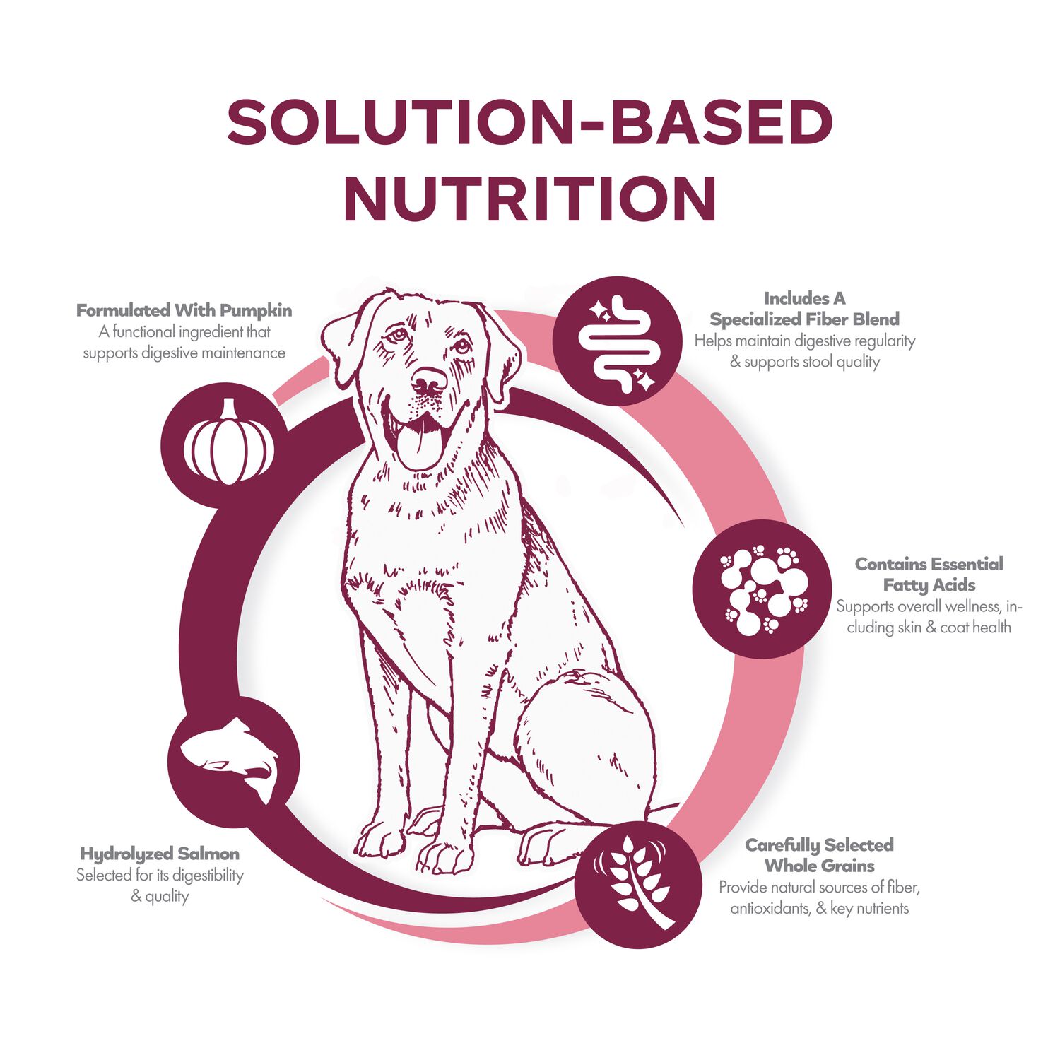 Fromm Nutritionals Sensitive Skin & Stomach Salmon & Whole Oats Dry Dog Food, 4-Lb Bag