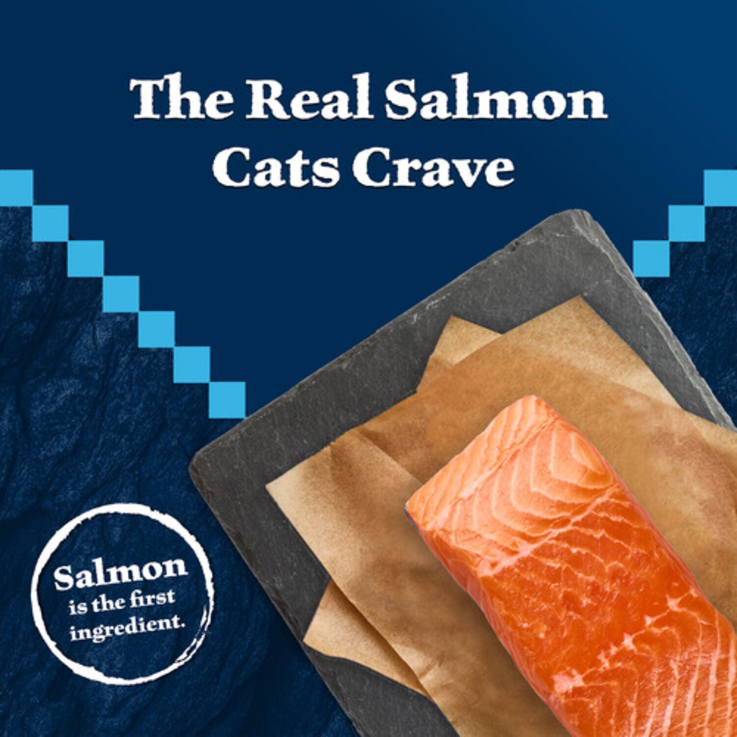 Blue Buffalo Wilderness Mature High-Protein & Grain-Free Salmon Recipe Dry Cat Food, 5-Lb Bag