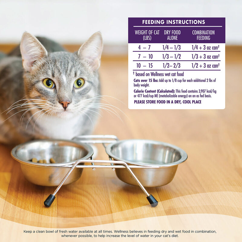 Complete Health Deboned Chicken & Chicken Meal Recipe Cat Food image number 3