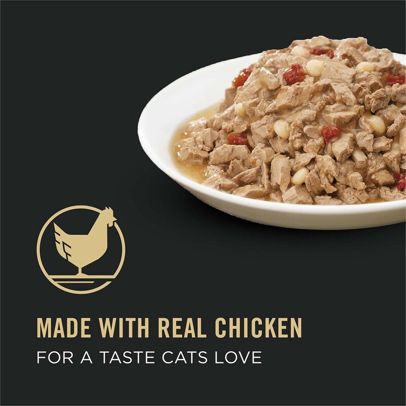 Savor Adult Chicken, Tomato & Pasta Entree In Gravy Cat Food image number 14