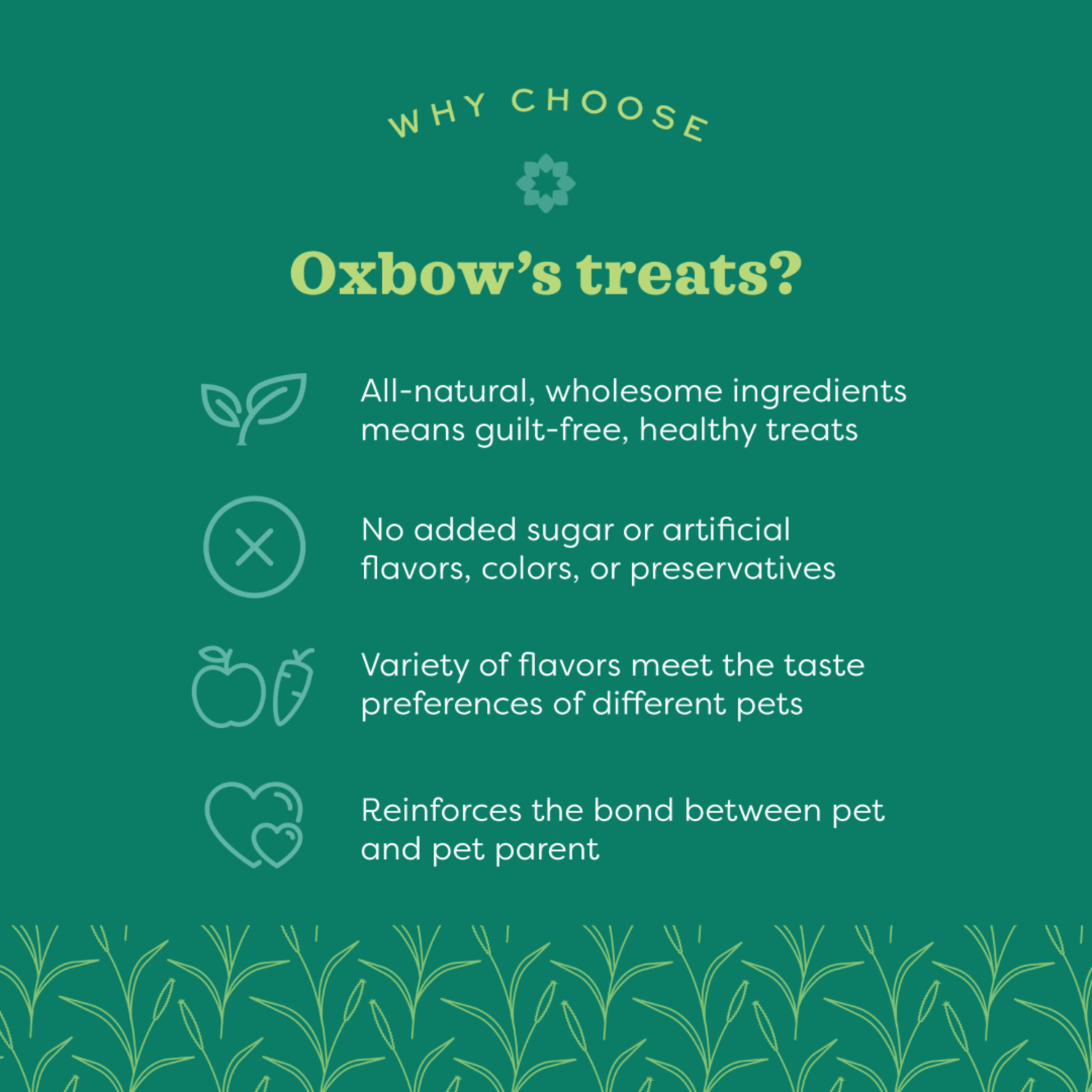 Oxbow Simple Rewards Baked With Cranberry Small Animal Treats, 3-Oz