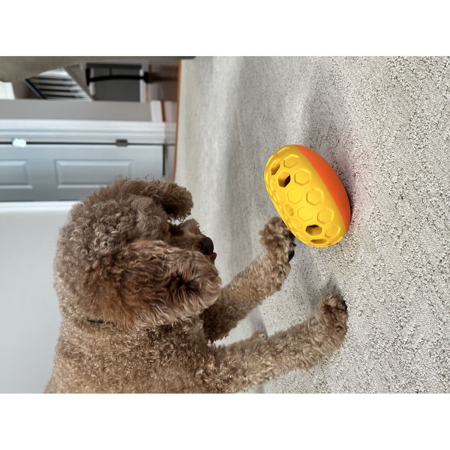 Tall Tails Natural Rubber Bee Hive Interactive Treat Dispensing Dog Toy, 5"