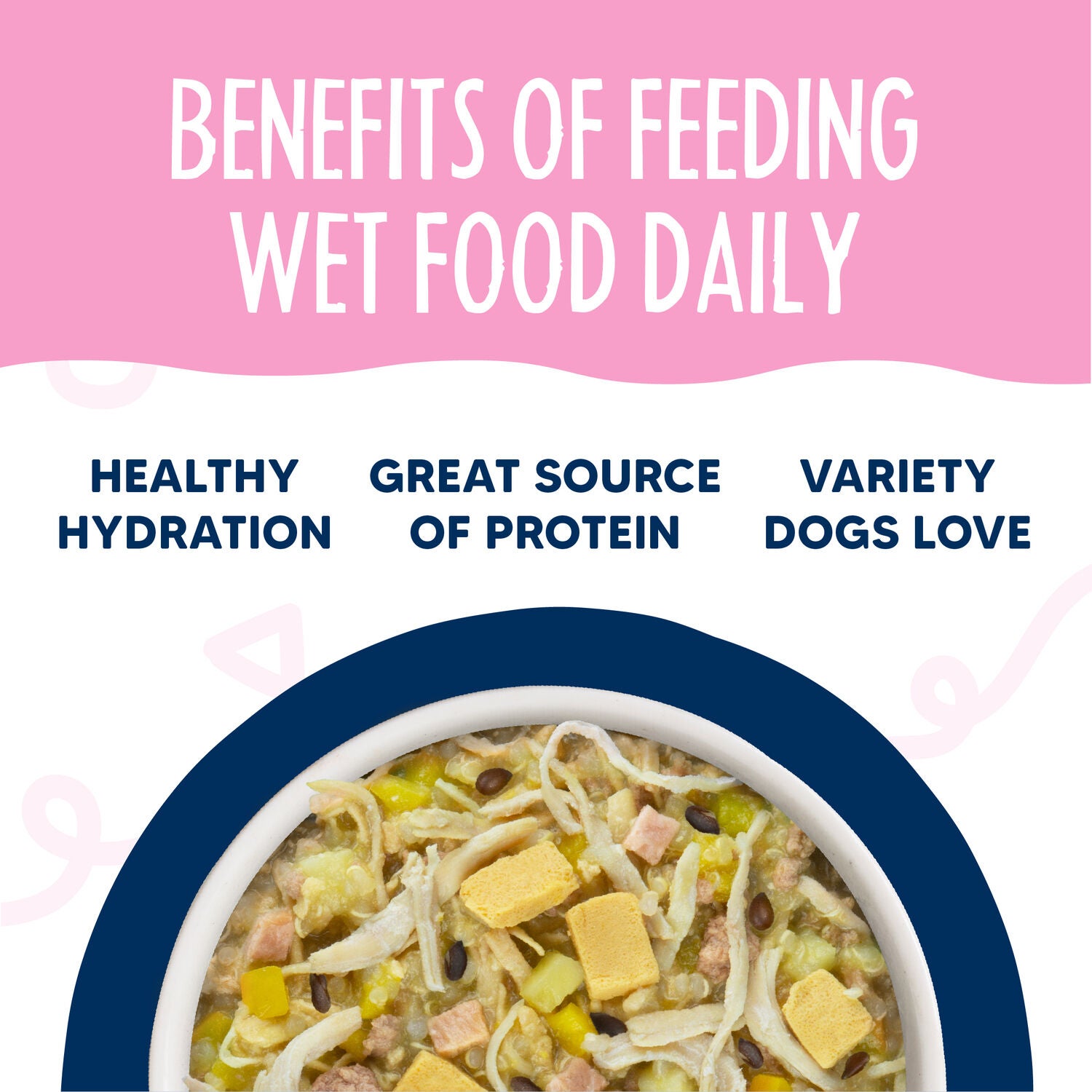 Weruva Meals 'N More Bed & Breakfast Plus Digestive Support Wet Dog Food & Food Topper, 3.5-Oz