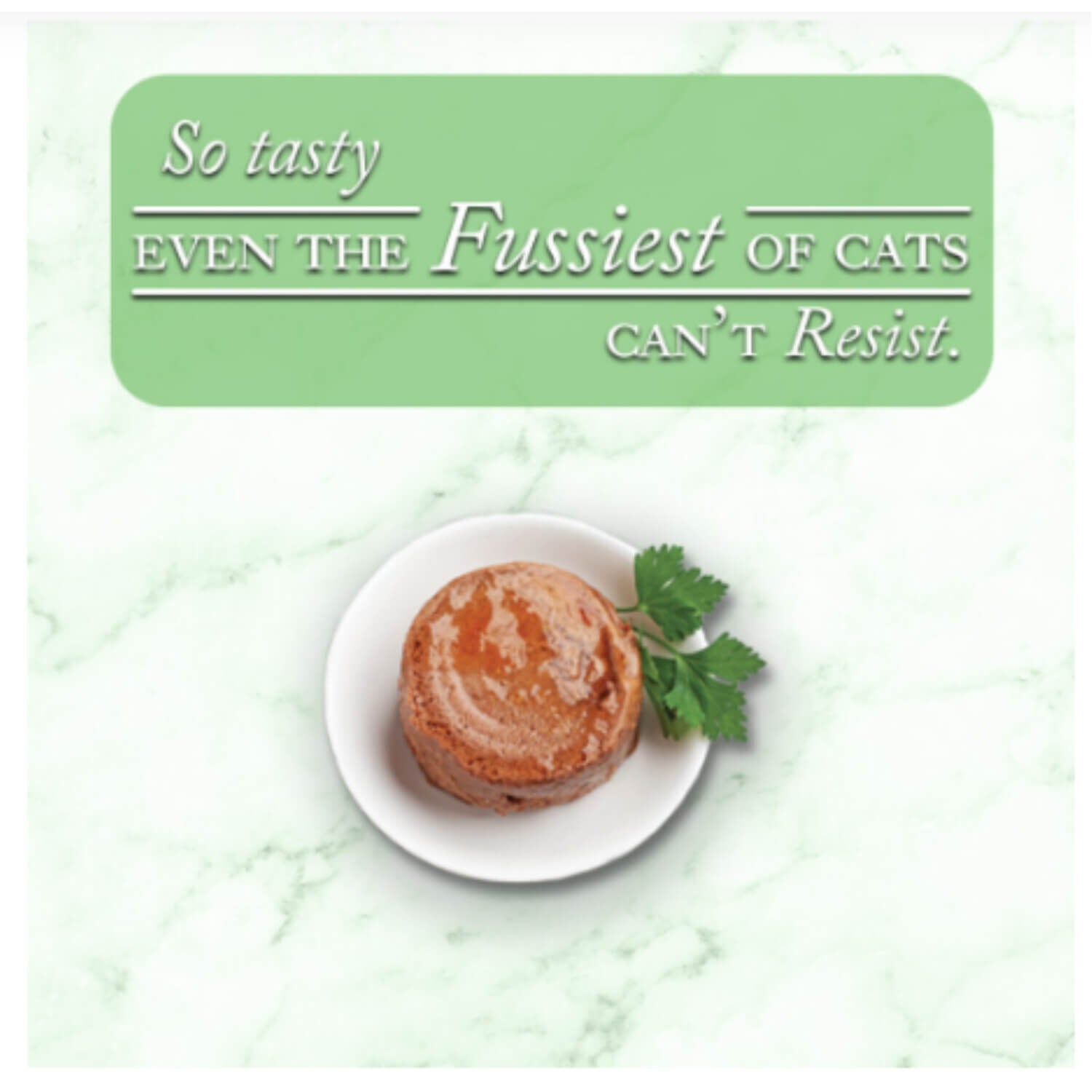 Fussie Cat Fine Dining Pate Oceanfish In Gravy Recipe Wet Cat Food, 2.8 Oz