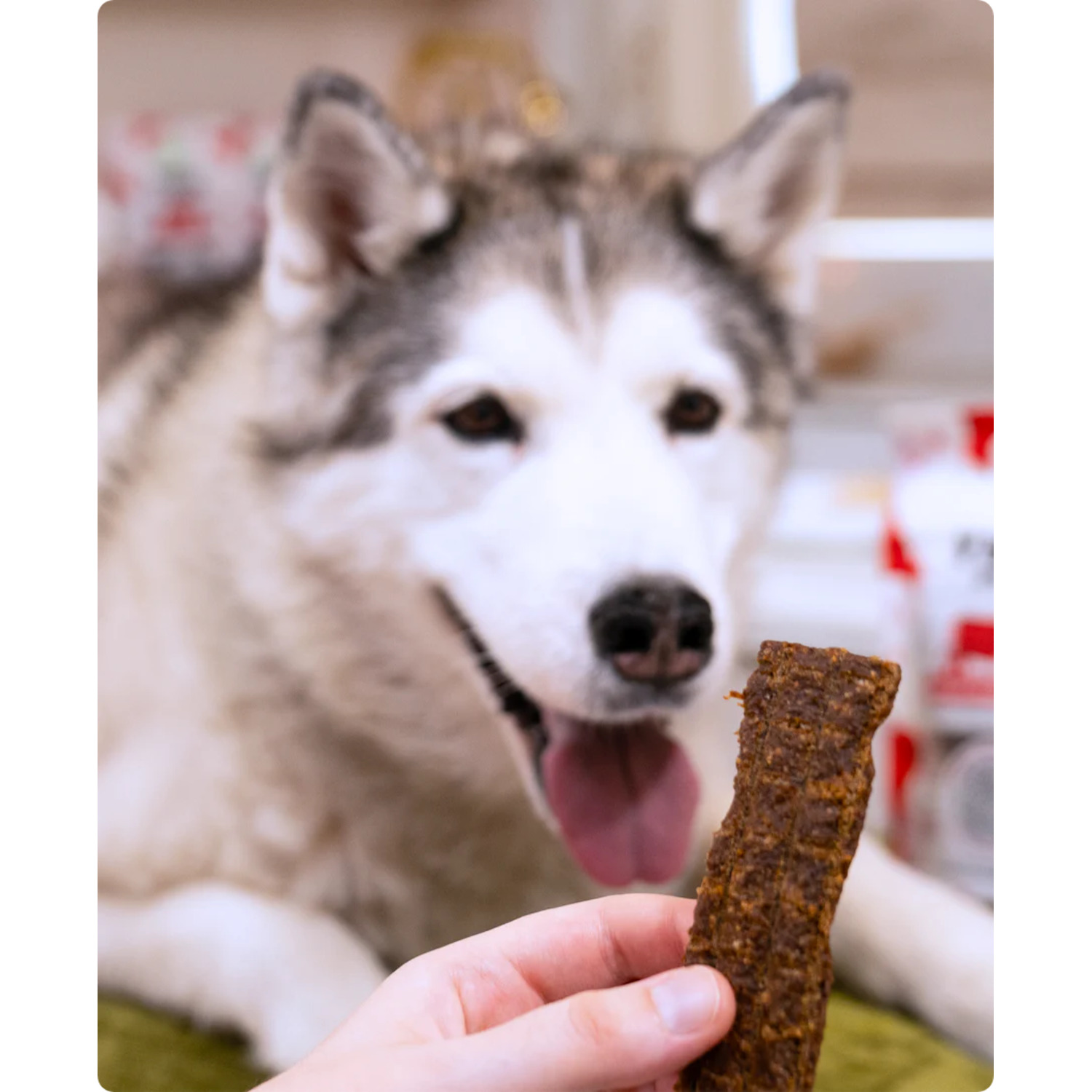 Open Farm Jerky Strips Grain-Free Dog Treats, Grass-Fed Beef,