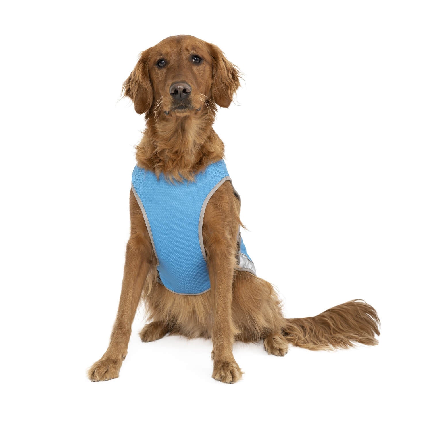 Canada Pooch Chill Seeker Cooling Dog Vest - Blue
