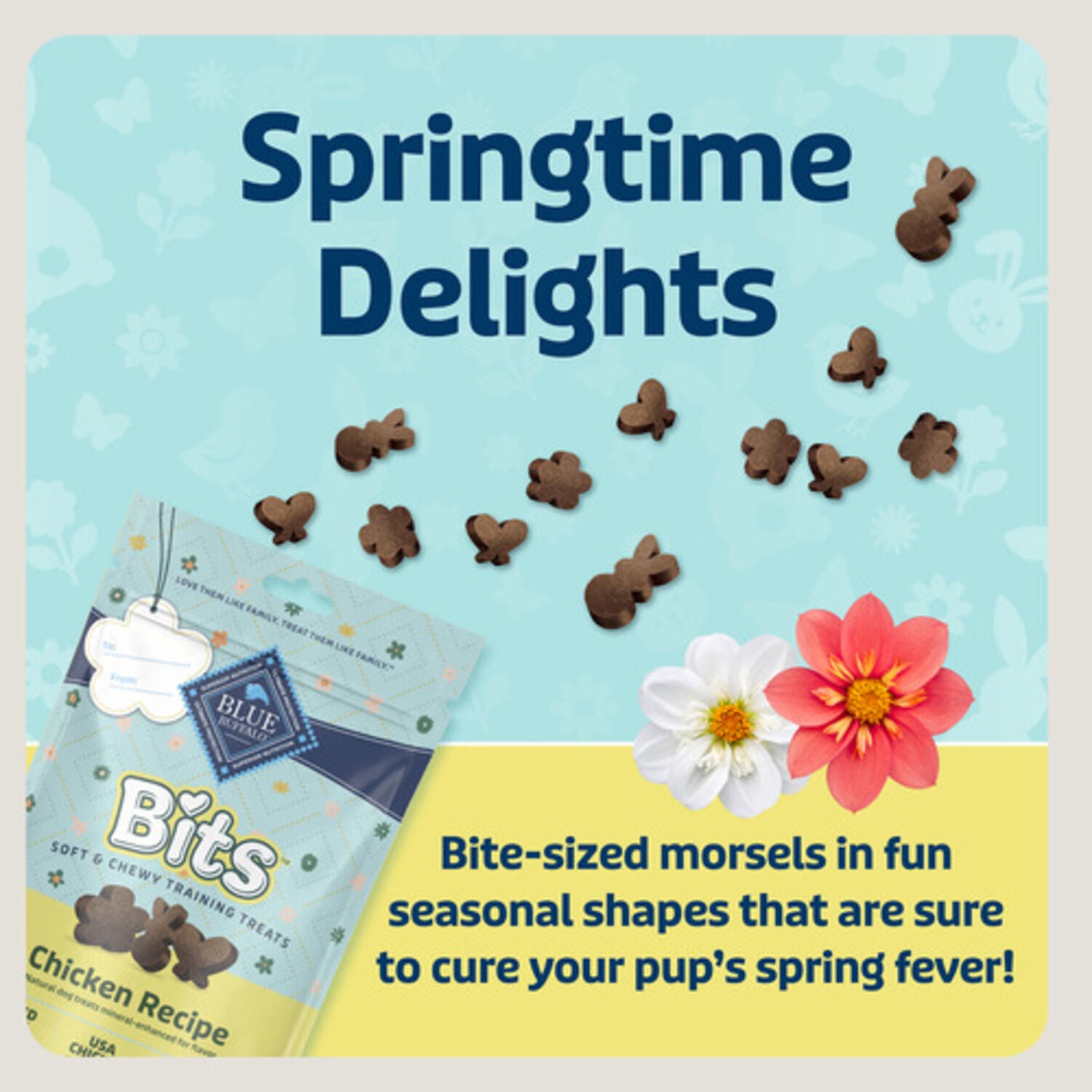 Blue Buffalo Bits Soft & Chewy Spring Dog Training Treats, Chicken Recipe, 4.5-Oz