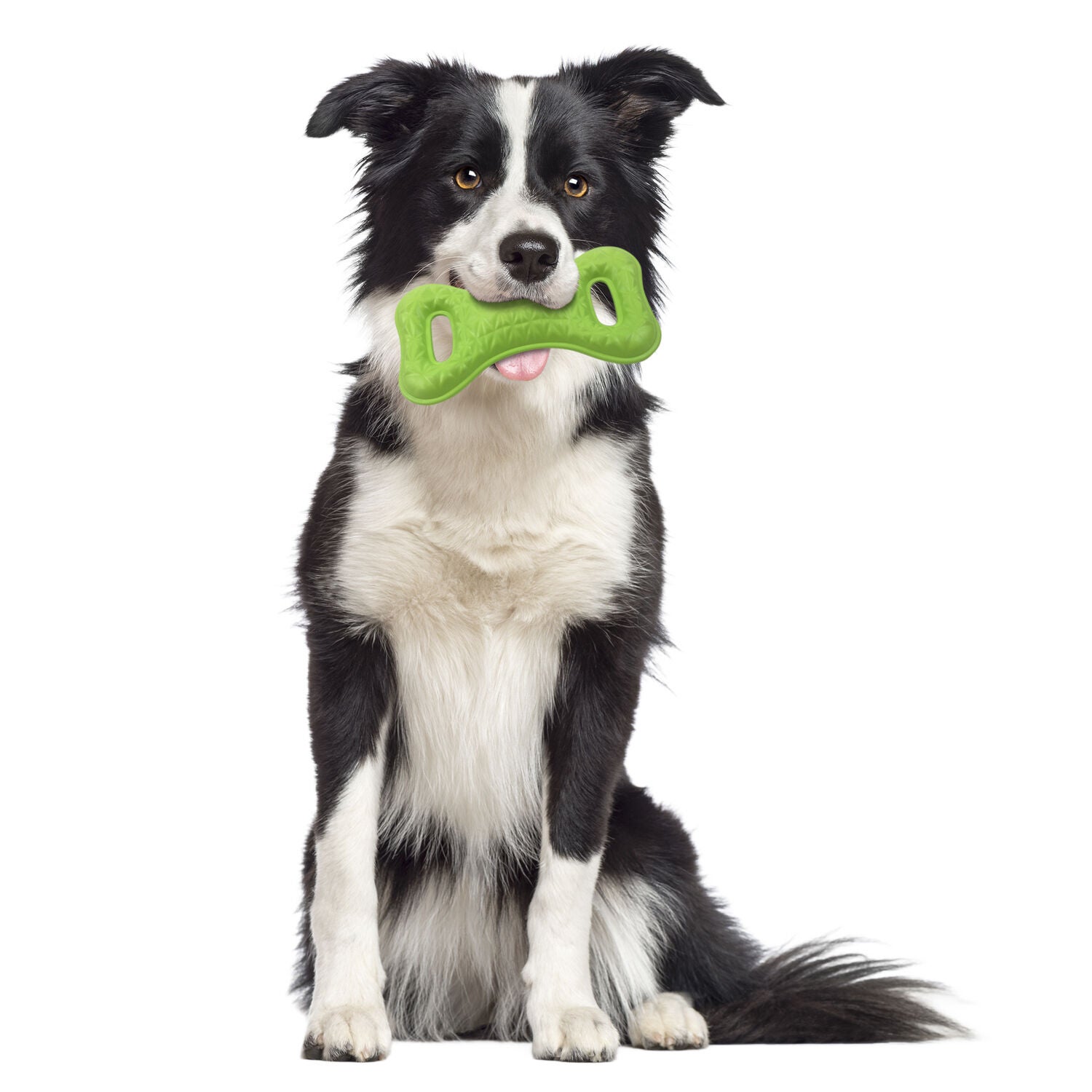 Unique Petz Floating Fun Tug Dog Toy - Green