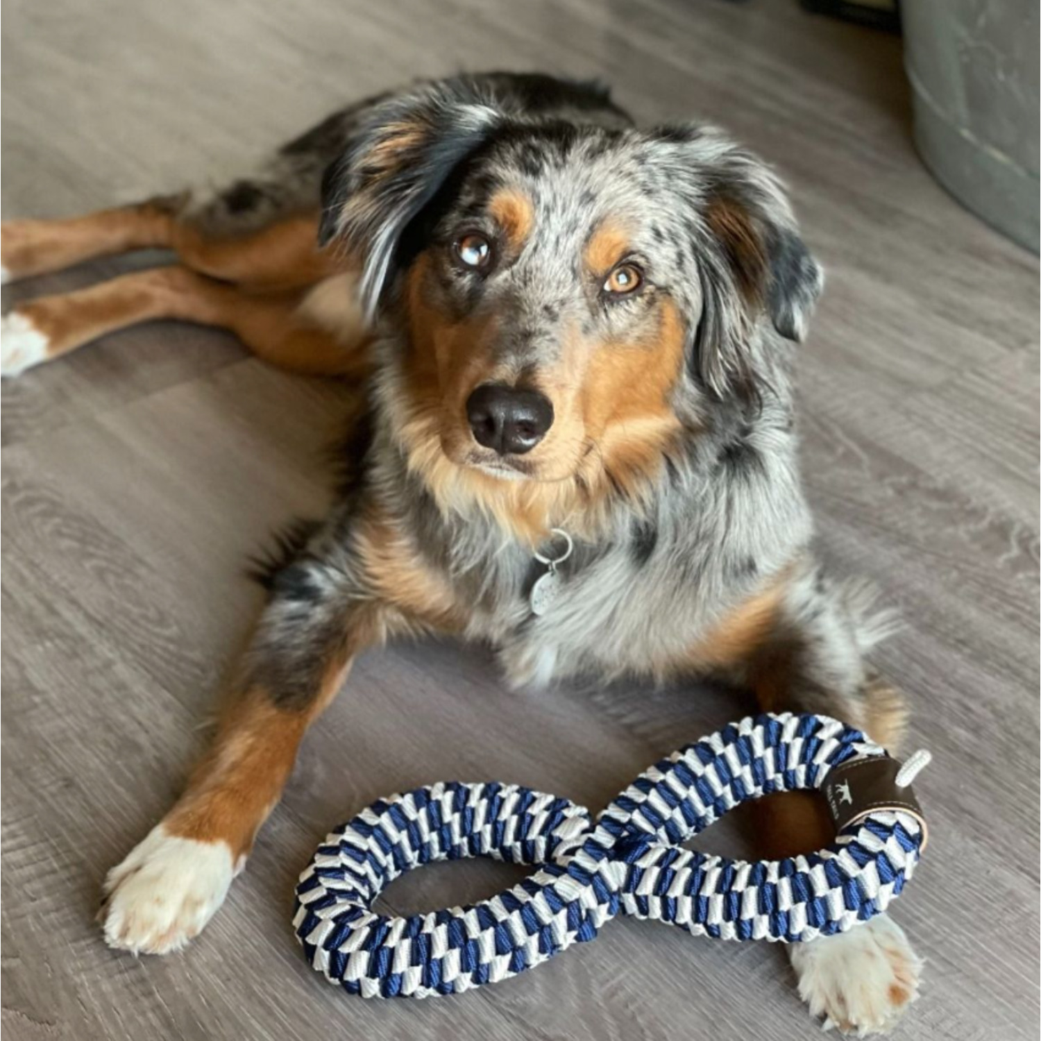 Tall Tails Tug Navy Braided Infinity Interactive Dog Toy, 11"