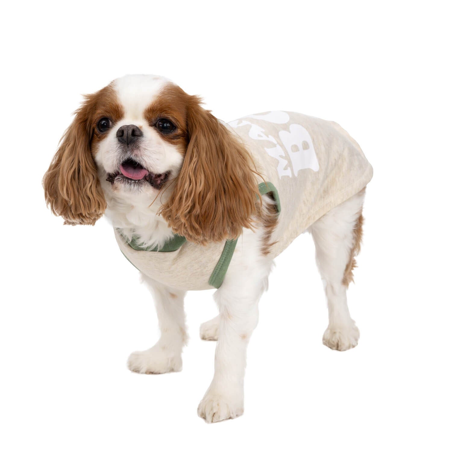 Simply Dog Mama's Boy Green & White Dog Hoodie