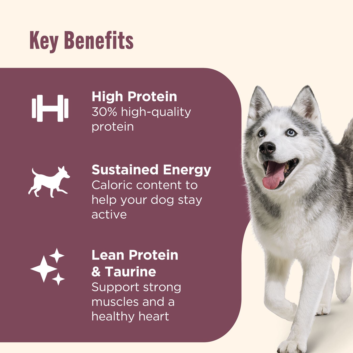 Rachael Ray&reg; Nutrish&trade; High Protein Dry Dog Food, Beef  Potato & Peas Recipe With Venison & Lamb, 23-Lb Bag