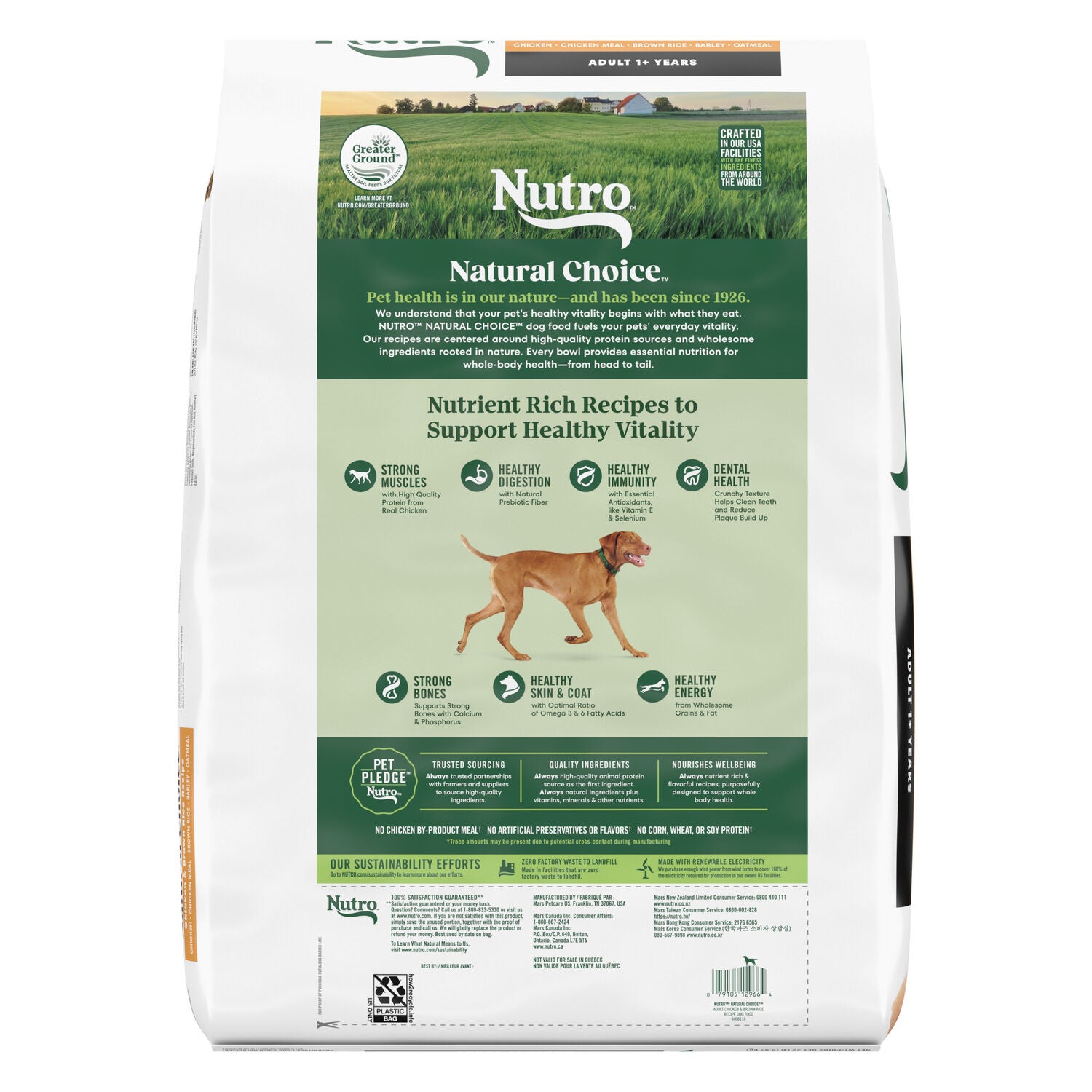 Nutro Natural Choice Chicken & Brown Rice Recipe Adult Dry Dog Food, 22-Lb Bag