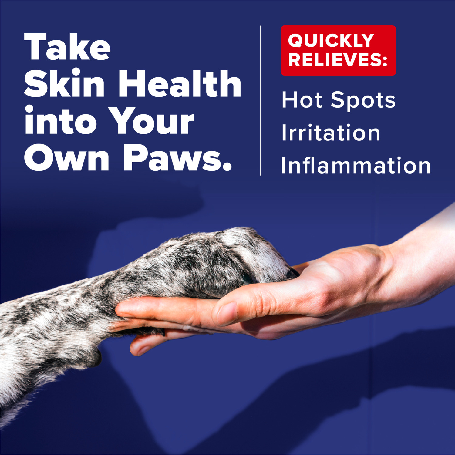 Tropiclean Oxymed Medicated Medicated Hot Spot Dog Treatment Spray, 8-Oz