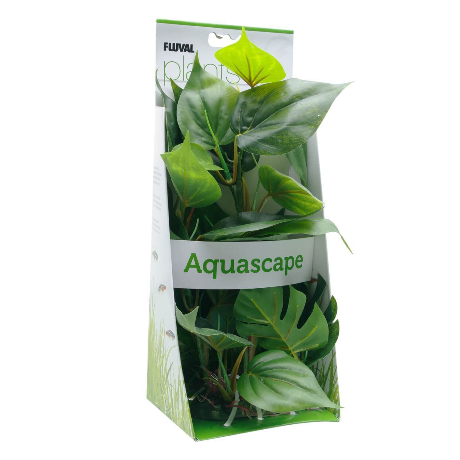 Fluval Anubias Aquarium Plant