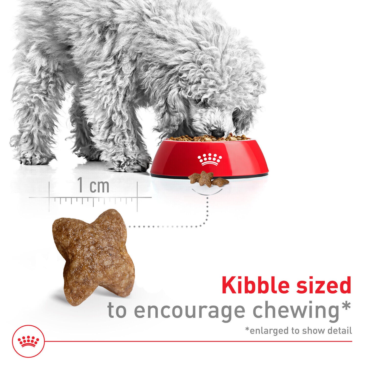 Royal Canin Size Health Nutrition Small Adult Dry Dog Food, 30 Lb