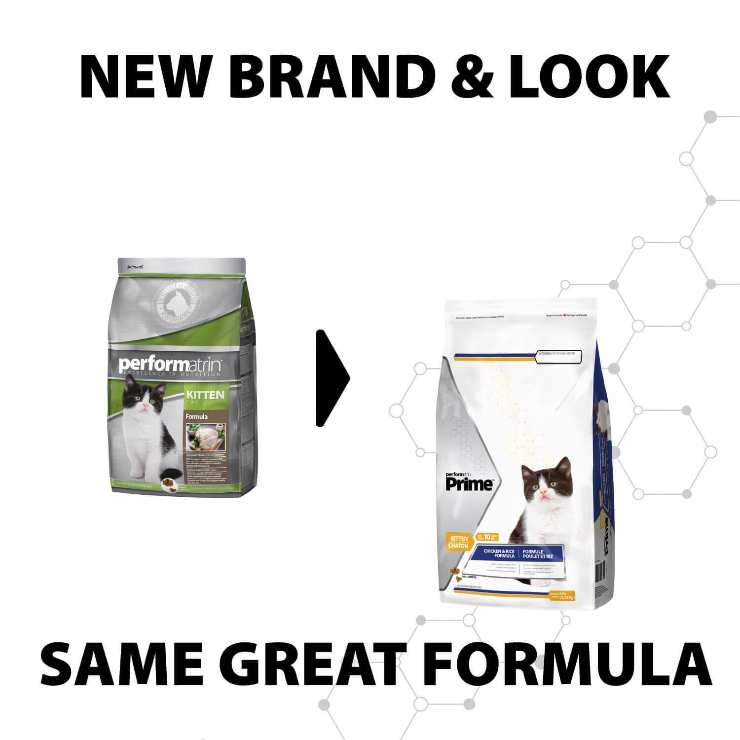Performatrin Prime Kitten Formula Dry Cat Food, 6-Lb Bag