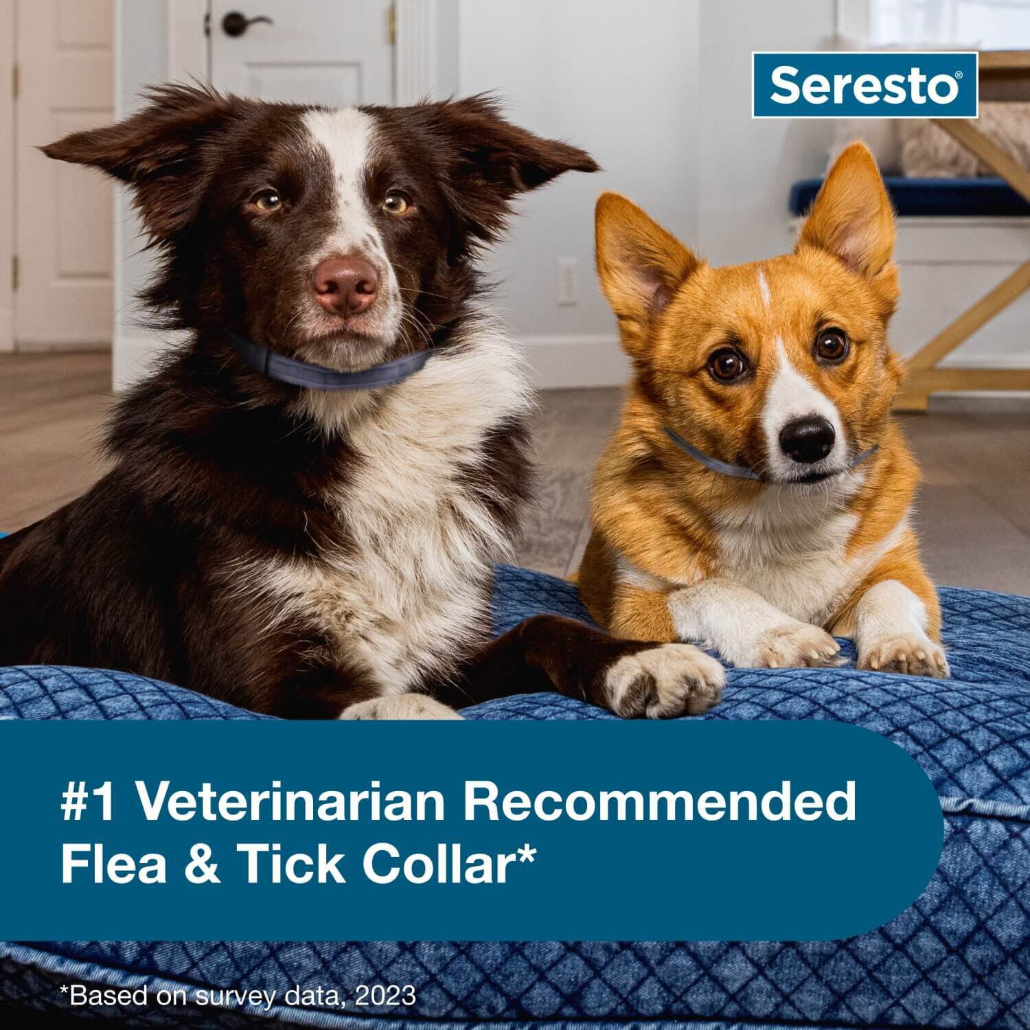 Seresto Flea & Tick Treatment & Prevention Collar For Dogs, Under 18 Lbs