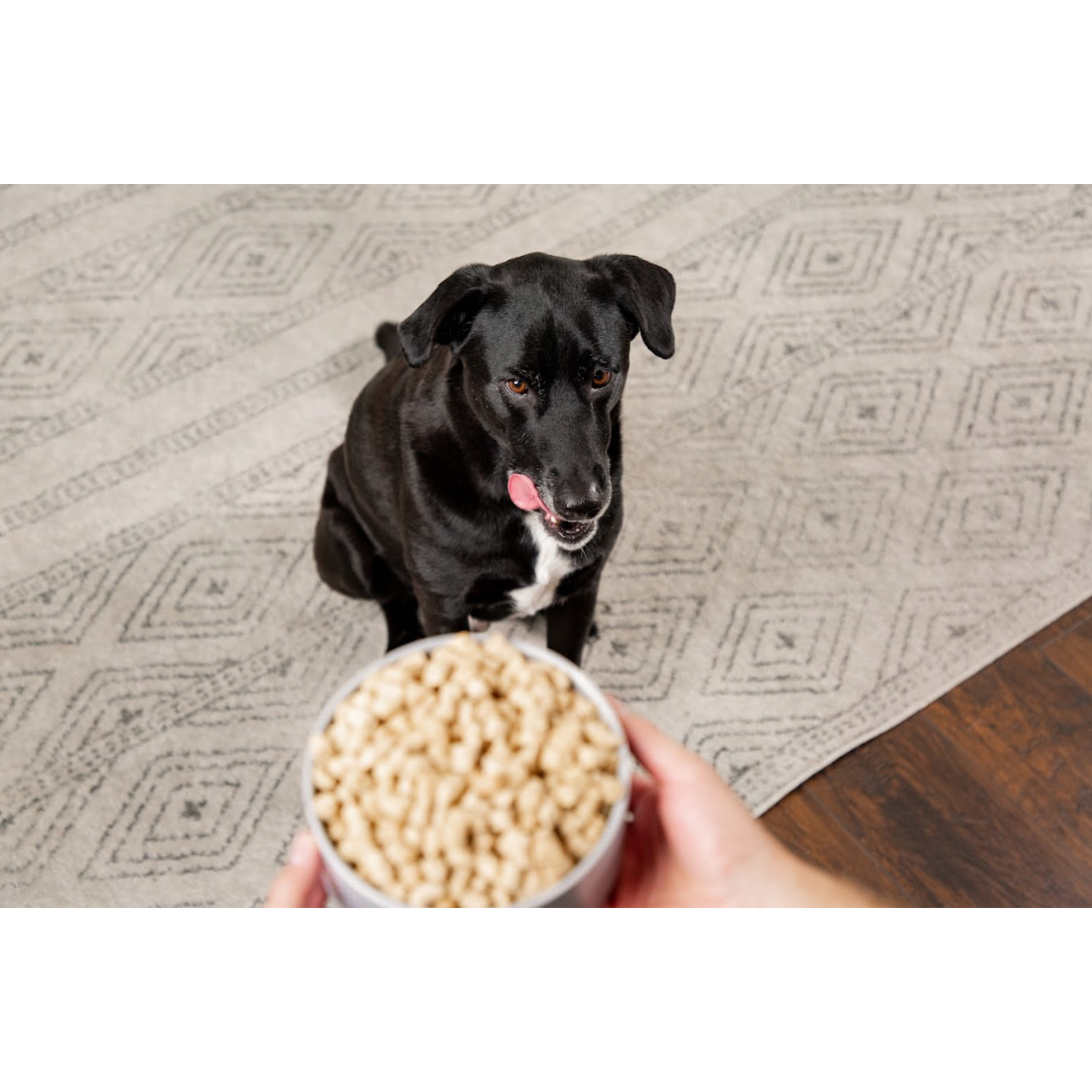 Dr. Marty Nature's Blend Radiant Select Freeze-Dried Raw Dog Food, 48Oz