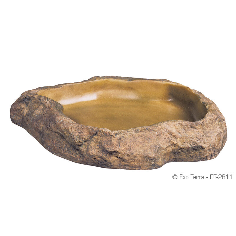 Water Dish For Reptiles