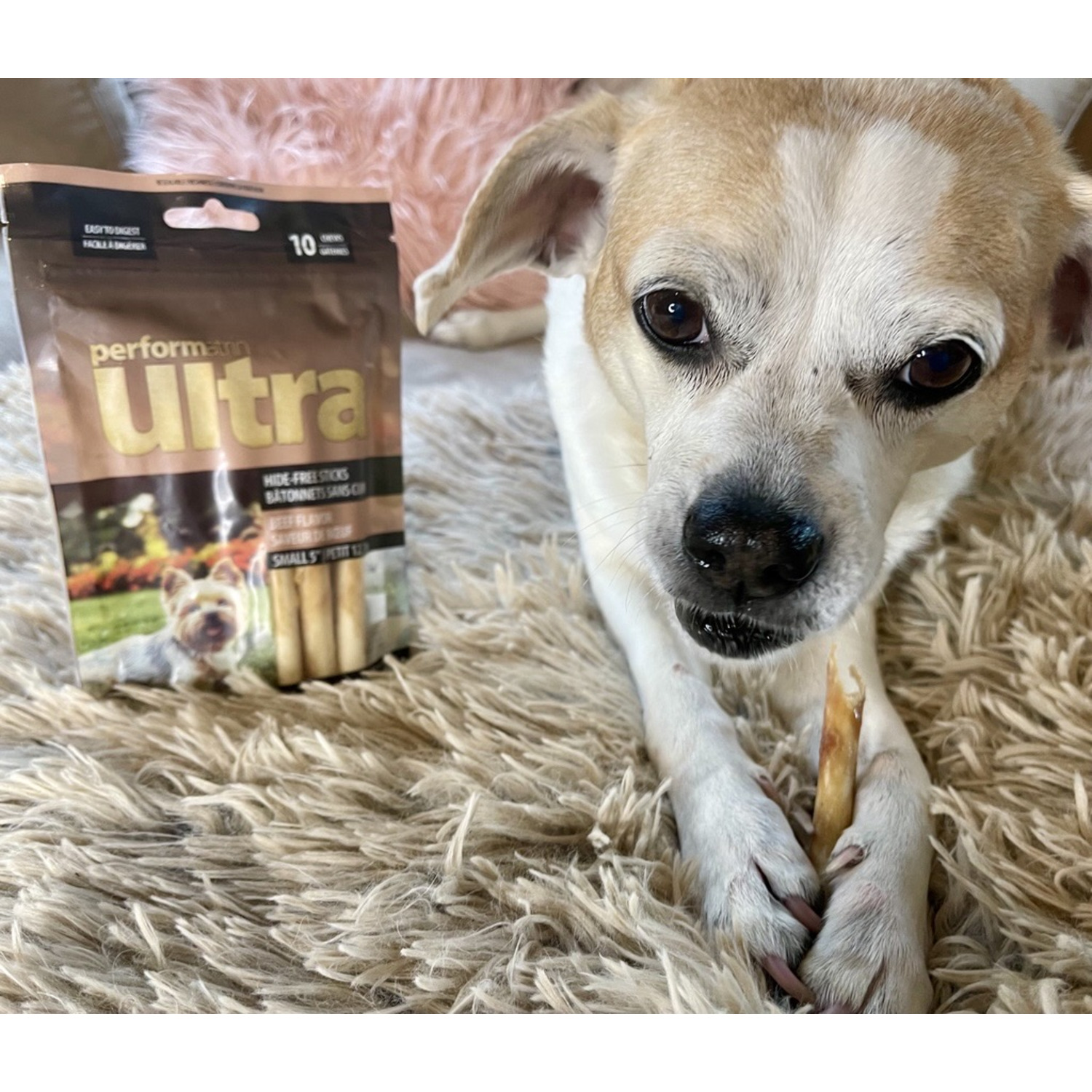 Performatrin Ultra Hide-Free Sticks Beef Recipe Dog Treats, 5-In, 10-Pack