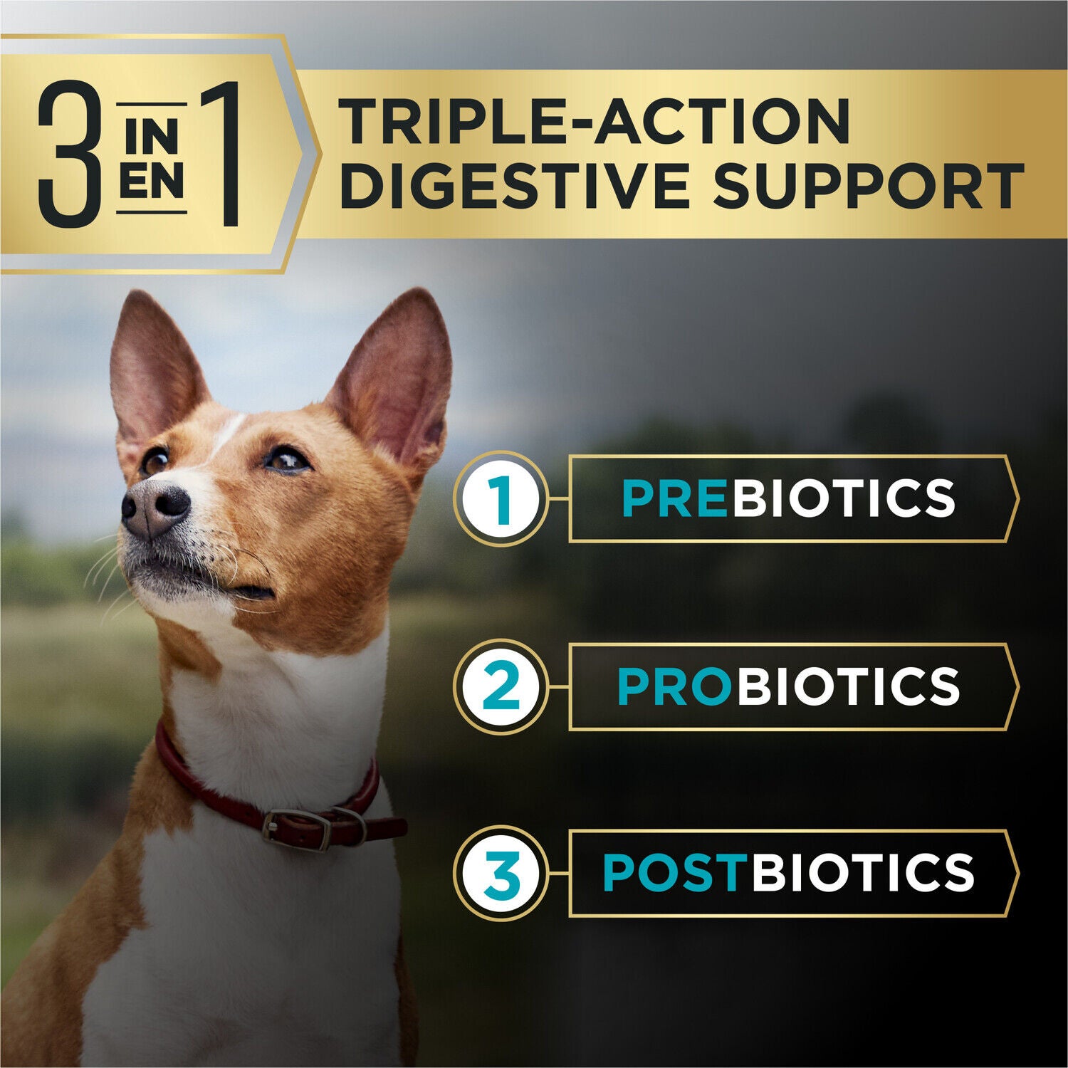 Purina Pro Plan Advantedge Digestive Support Plus Small Breed Salmon And Oat Meal Formula Adult Dry Dog Food - 3.5-Lb. Bag