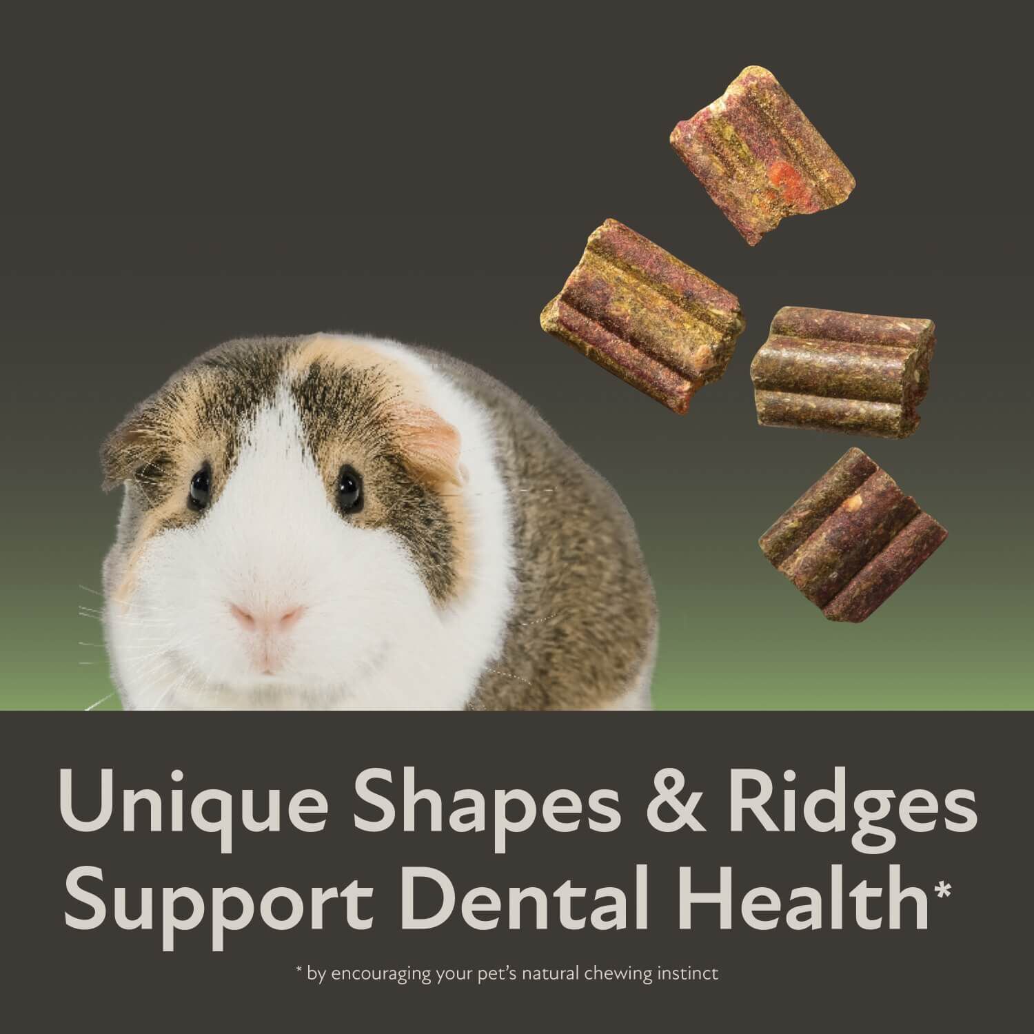 Kaytee Field+Forest By Guinea Pig Food