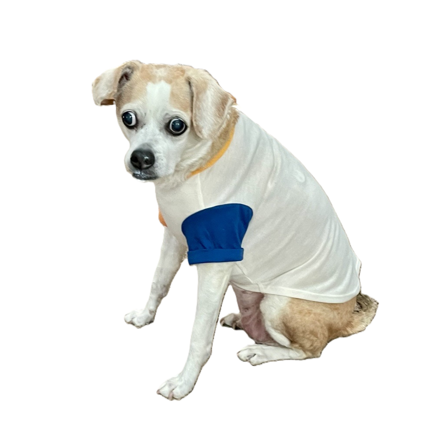 Bailey & Bella Tan Color Block Smiley Dog T-Shirt, Extra Large