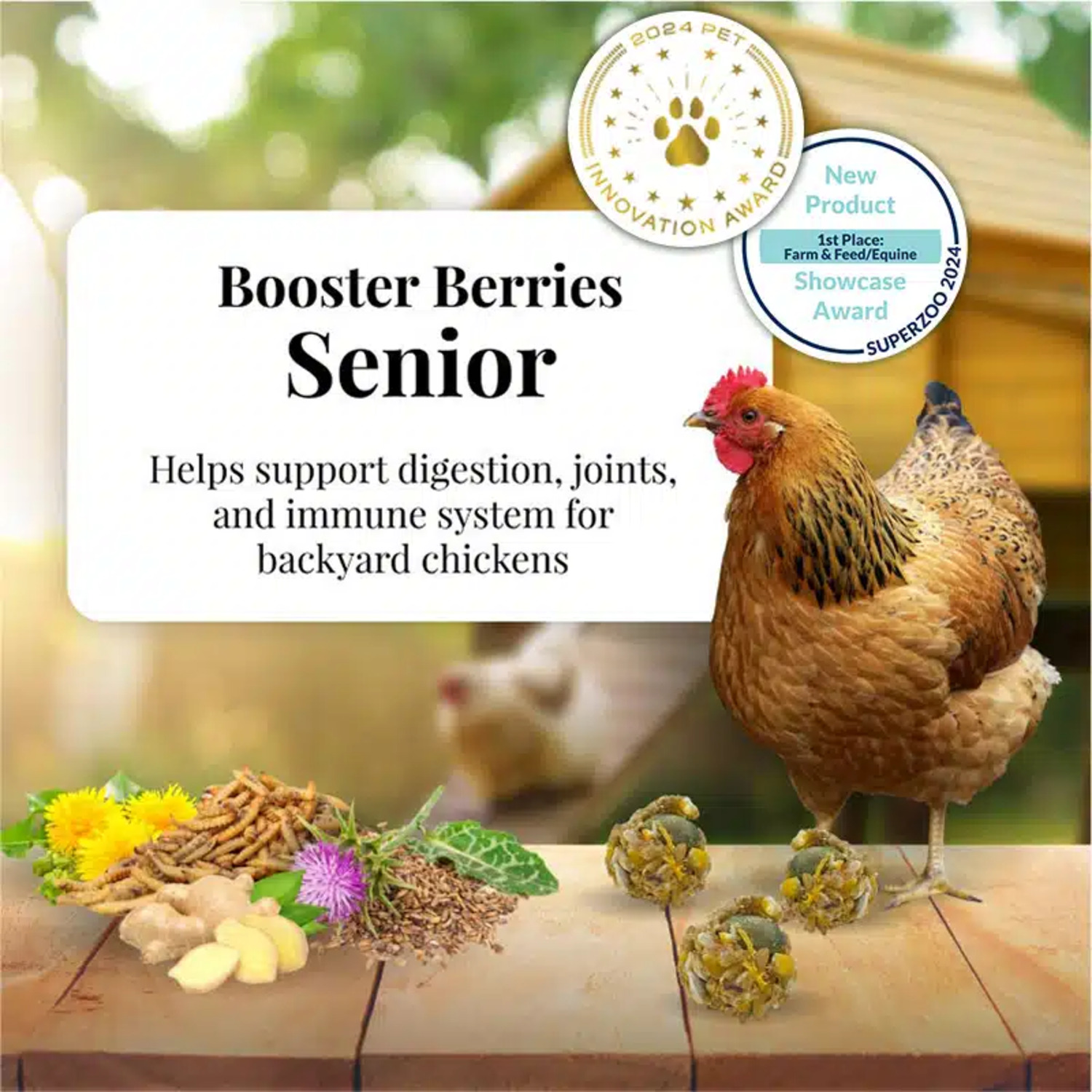 Lafeber Booster Berries Senior Chicken Supplement, 10 Oz
