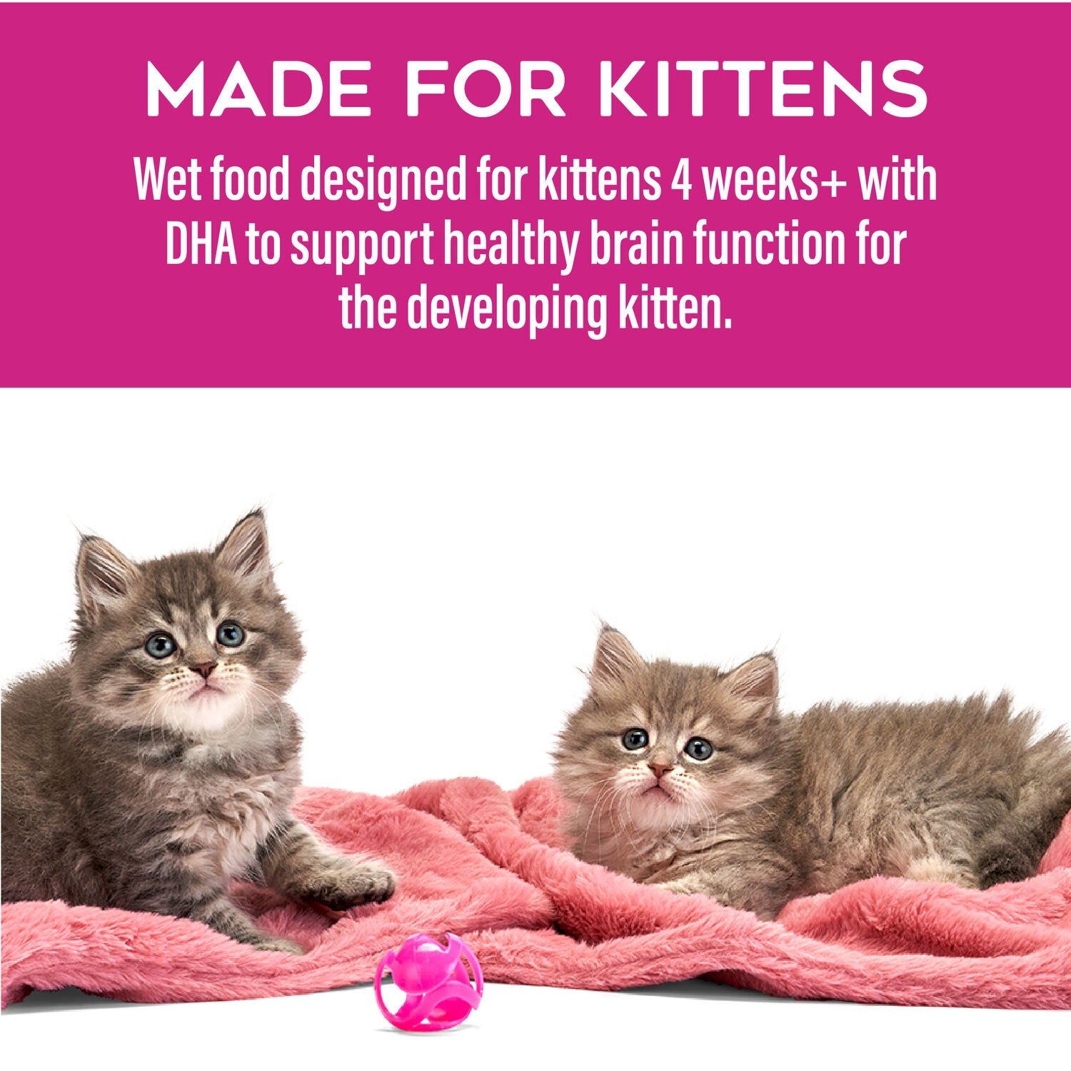 Tiki Cat Baby Pate Wet Cat Food For Kittens, Chicken, Tuna & Chicken Liver, 2.4-Oz Can Pack Of 12