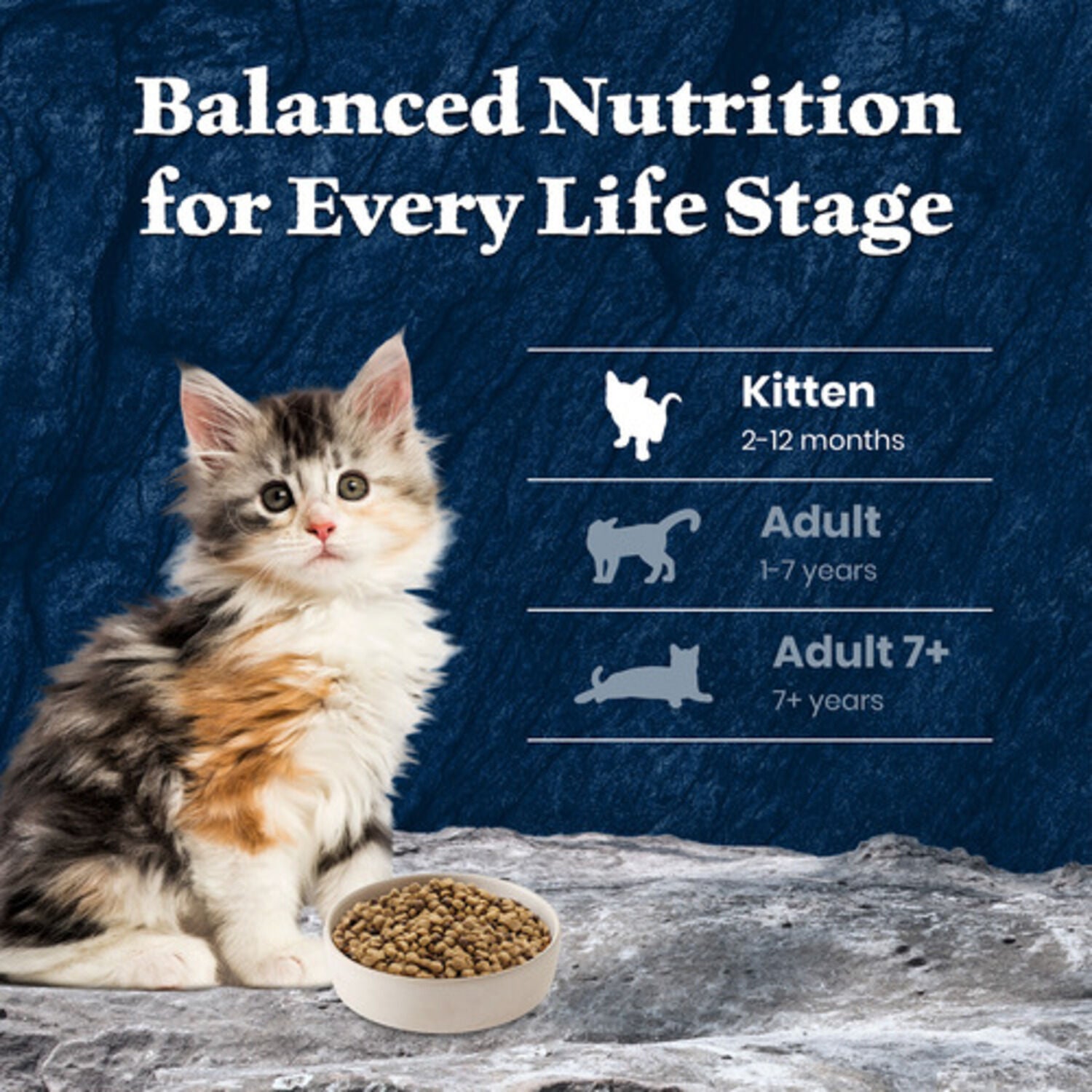 Blue Buffalo Wilderness Kitten High-Protein & Grain-Free Salmon Recipe Dry Cat Food, 5-Lb Bag