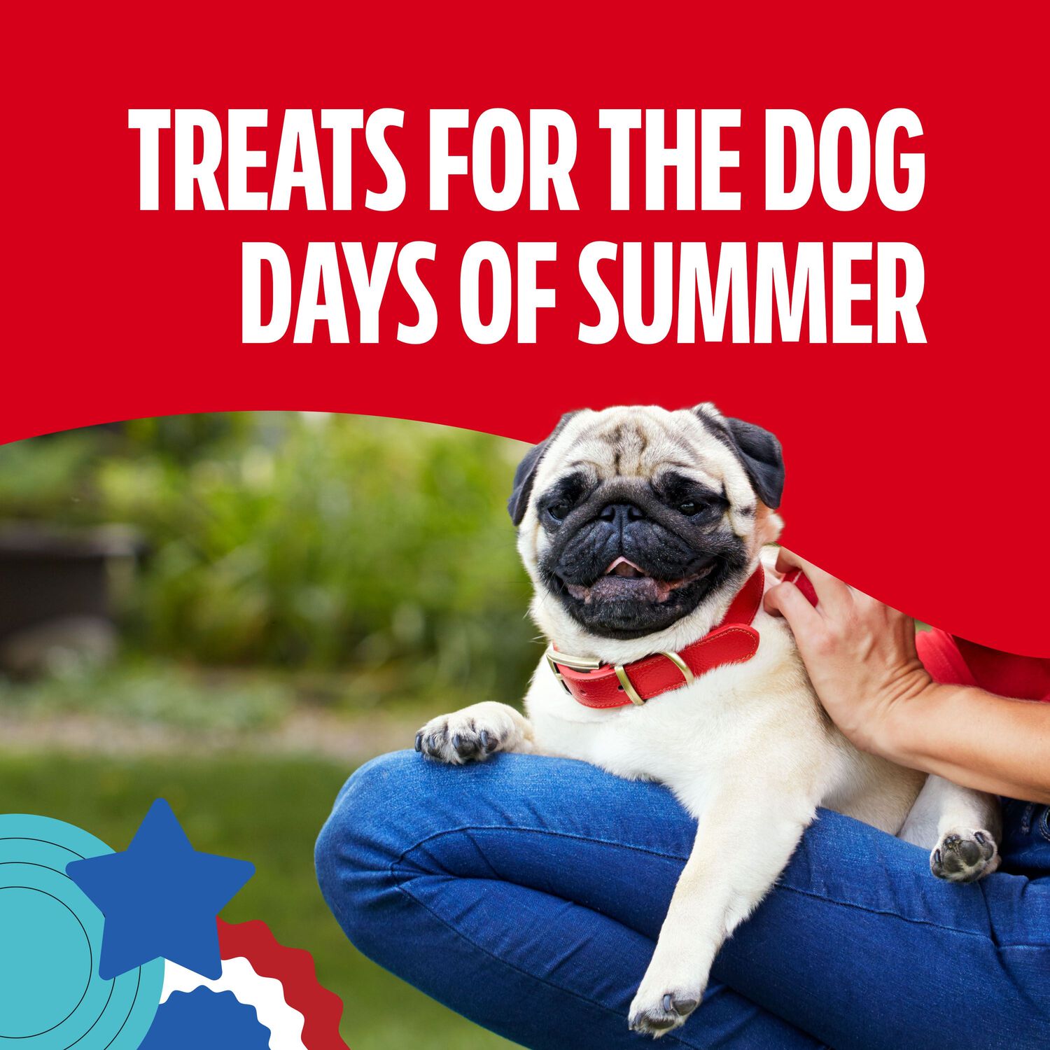 Milk-Bone Mini&rsquo;S Red, White & Woof Crunchy Biscuit Dog Treats, Mixed Berry Flavor, 12-Oz Bag